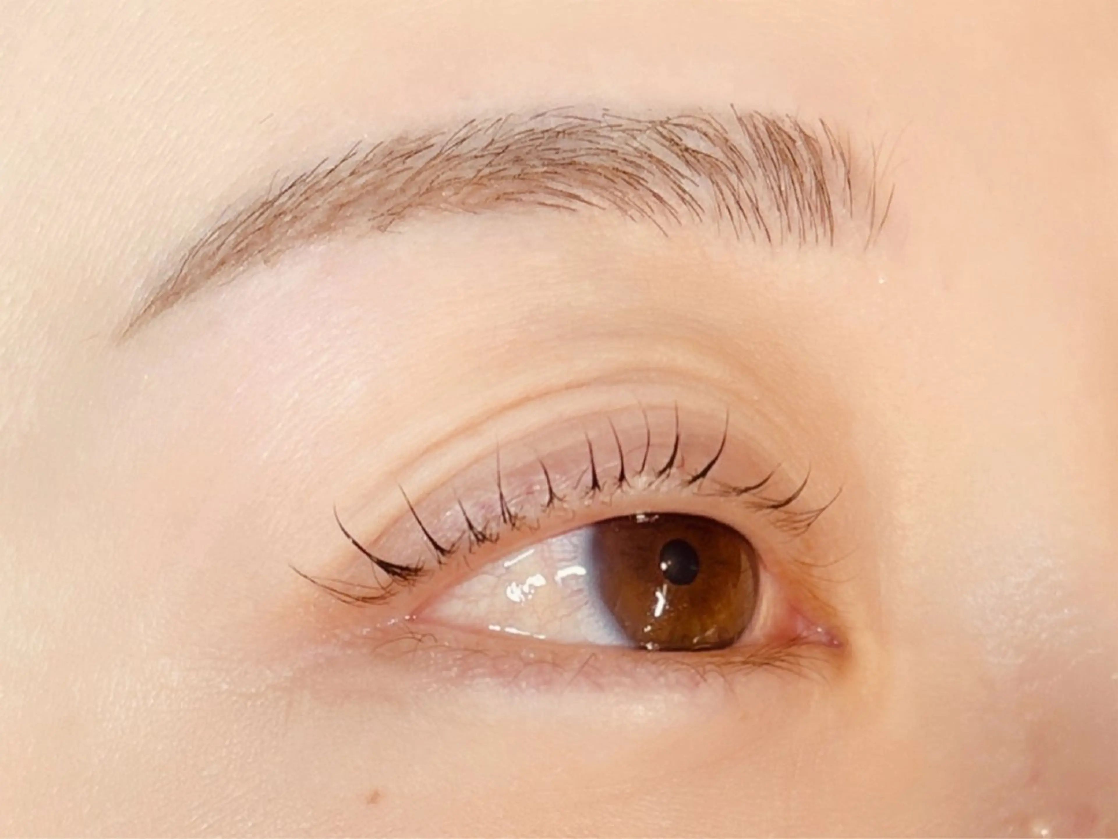 [オープニング価格]眉毛カット、眉毛wax！通常4750円が今だけオープニング価格でご利用頂けます✨の写真