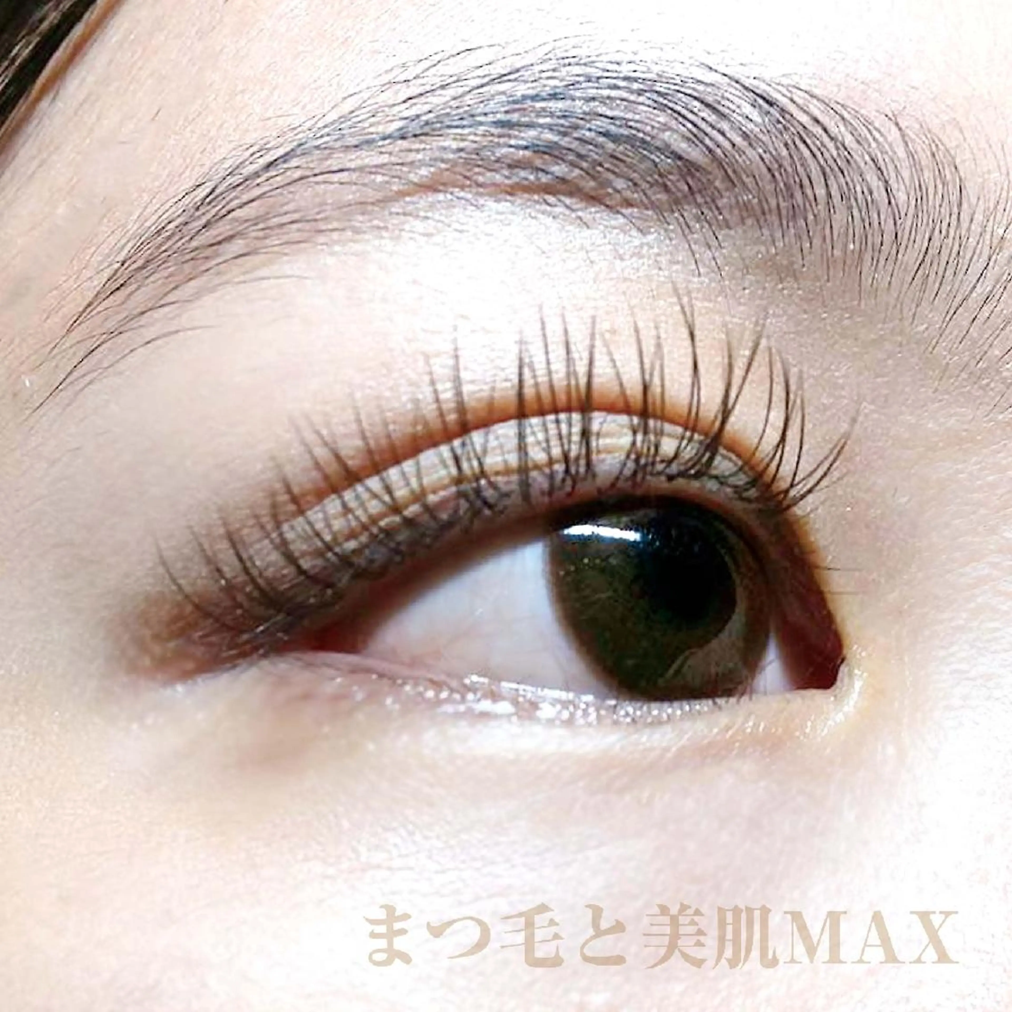 マツエク・マツパ キュート マツエク MAXまつ毛&  フェイシャルのマツエク・マツパデザイン