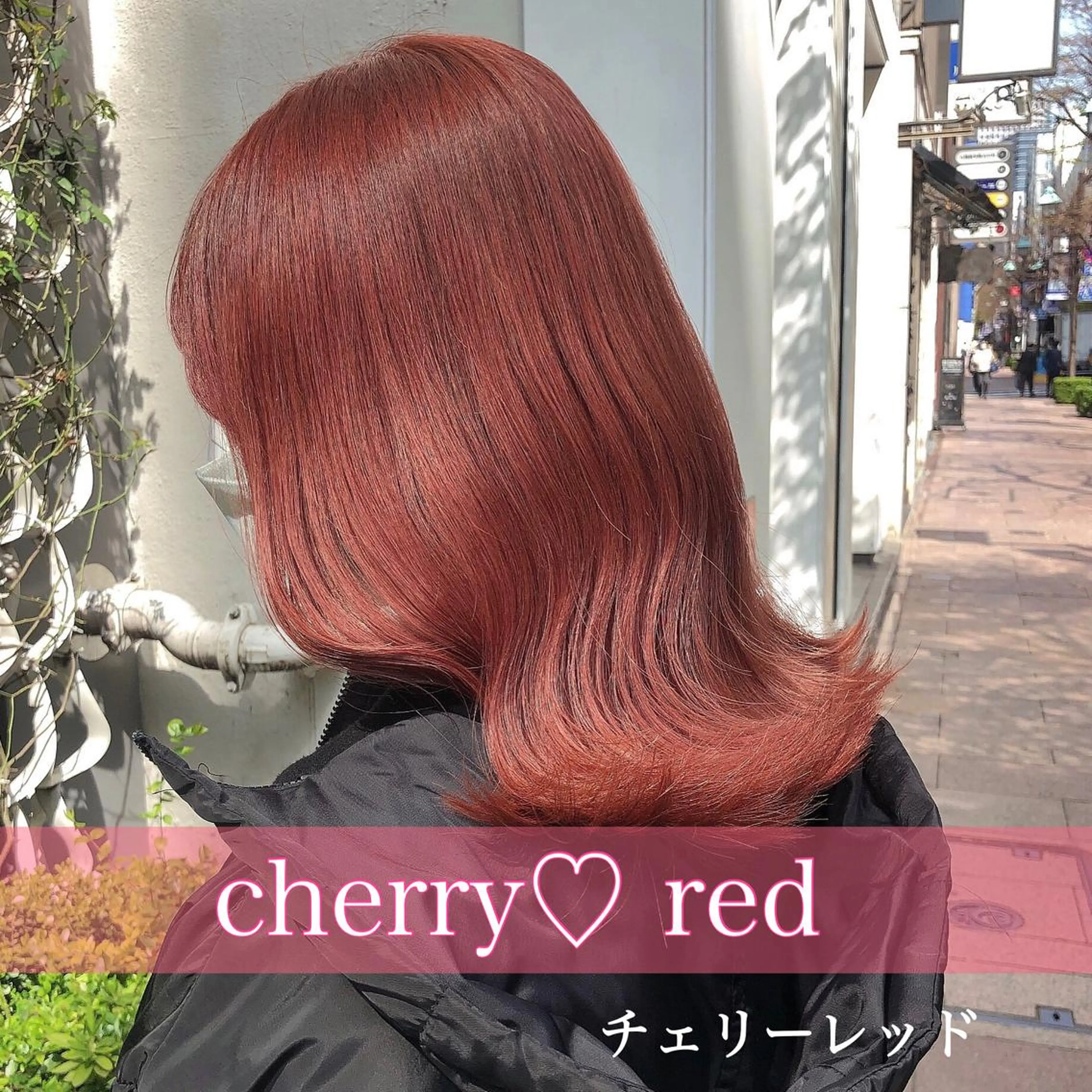 セミロング カラー ブリーチ ブリーチなしカラー レッドカラー カット ヘアカラー トリートメント 縮毛矯正/ 髪質改善/浅見拓哉のヘアスタイル
