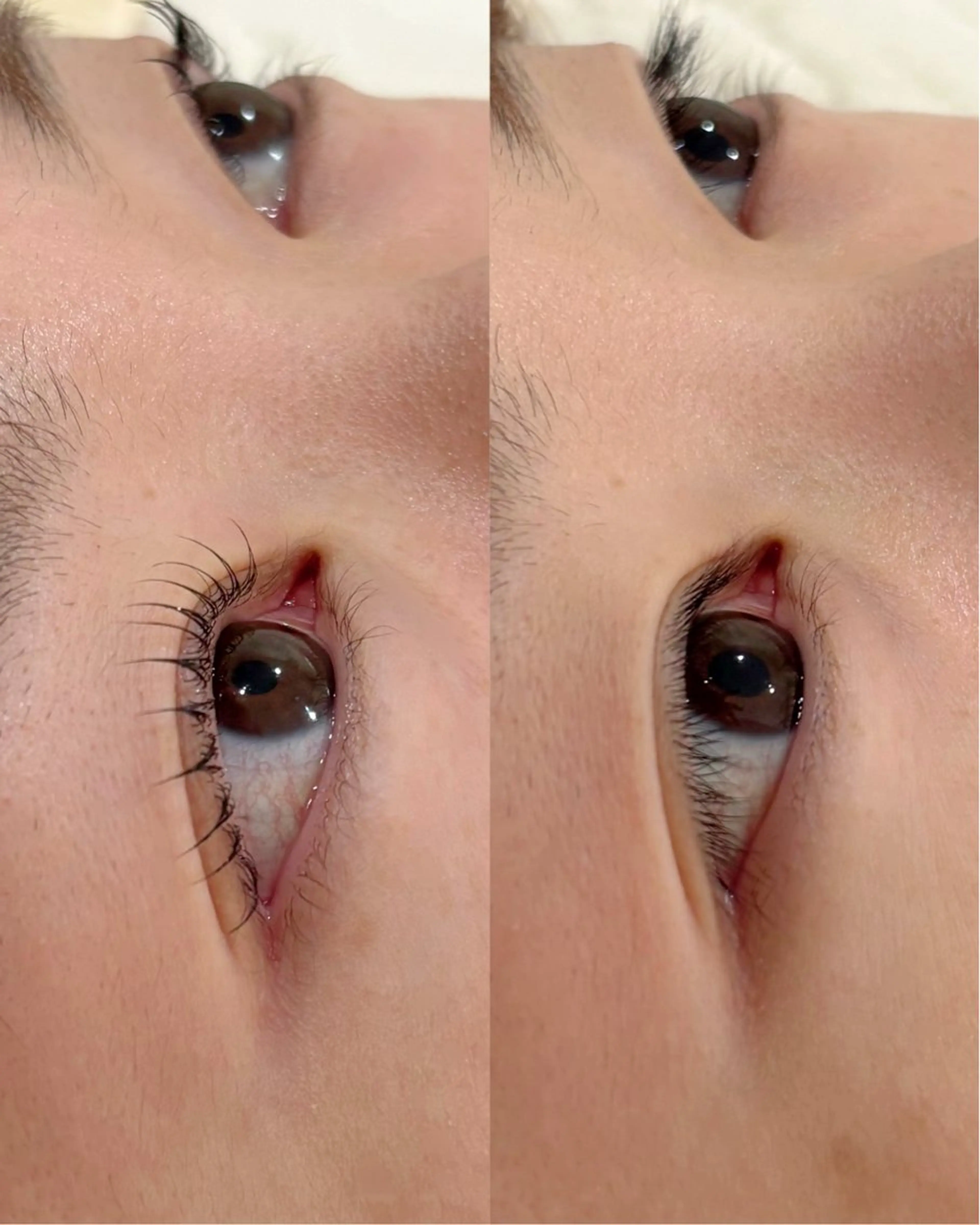 マツエク・マツパ マツパ Bunnyeyes 村岸の眉毛・アイブロウイメージ