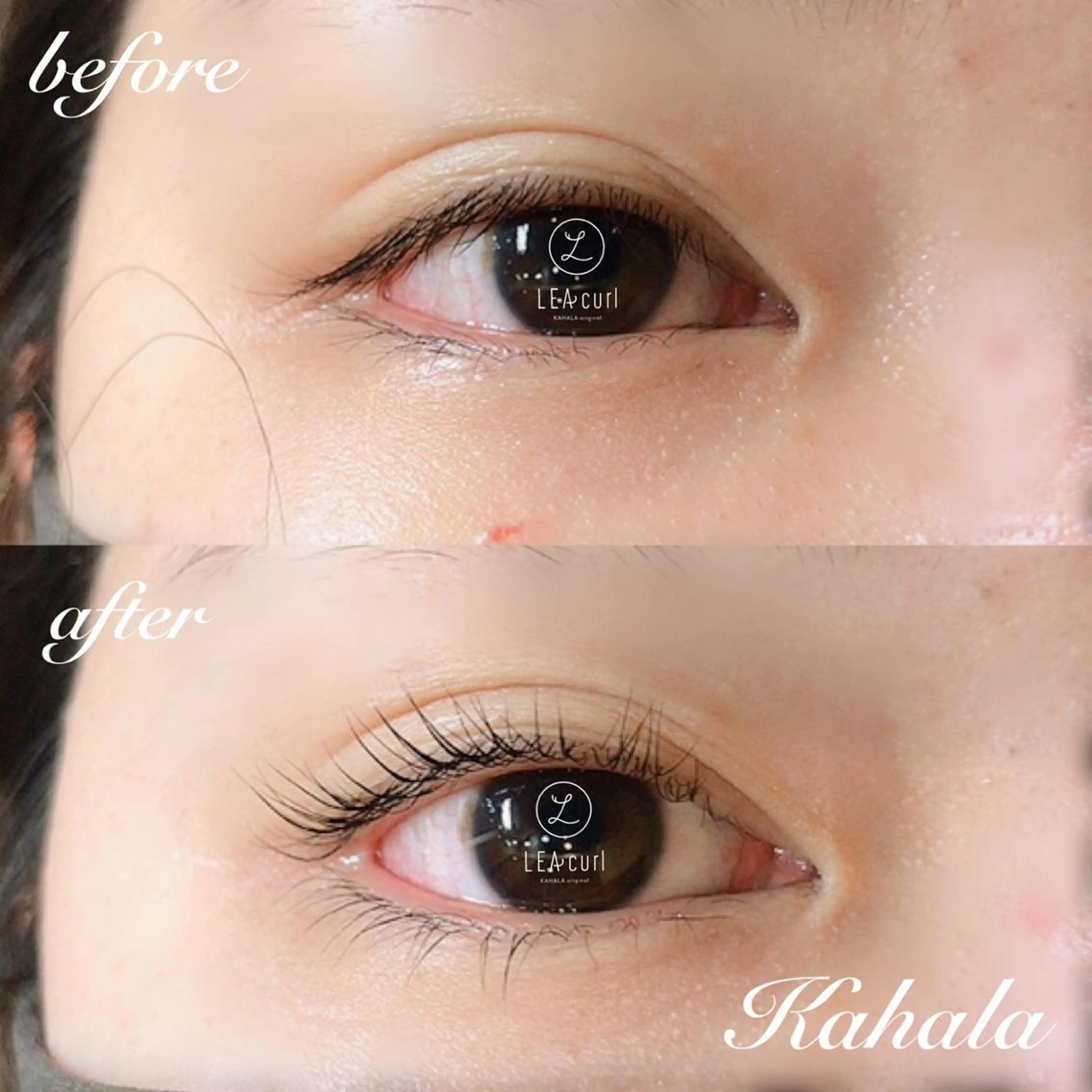 マツエク・マツパ Fujimoto 🦭⸝⋆꙳のマツエク・マツパデザイン