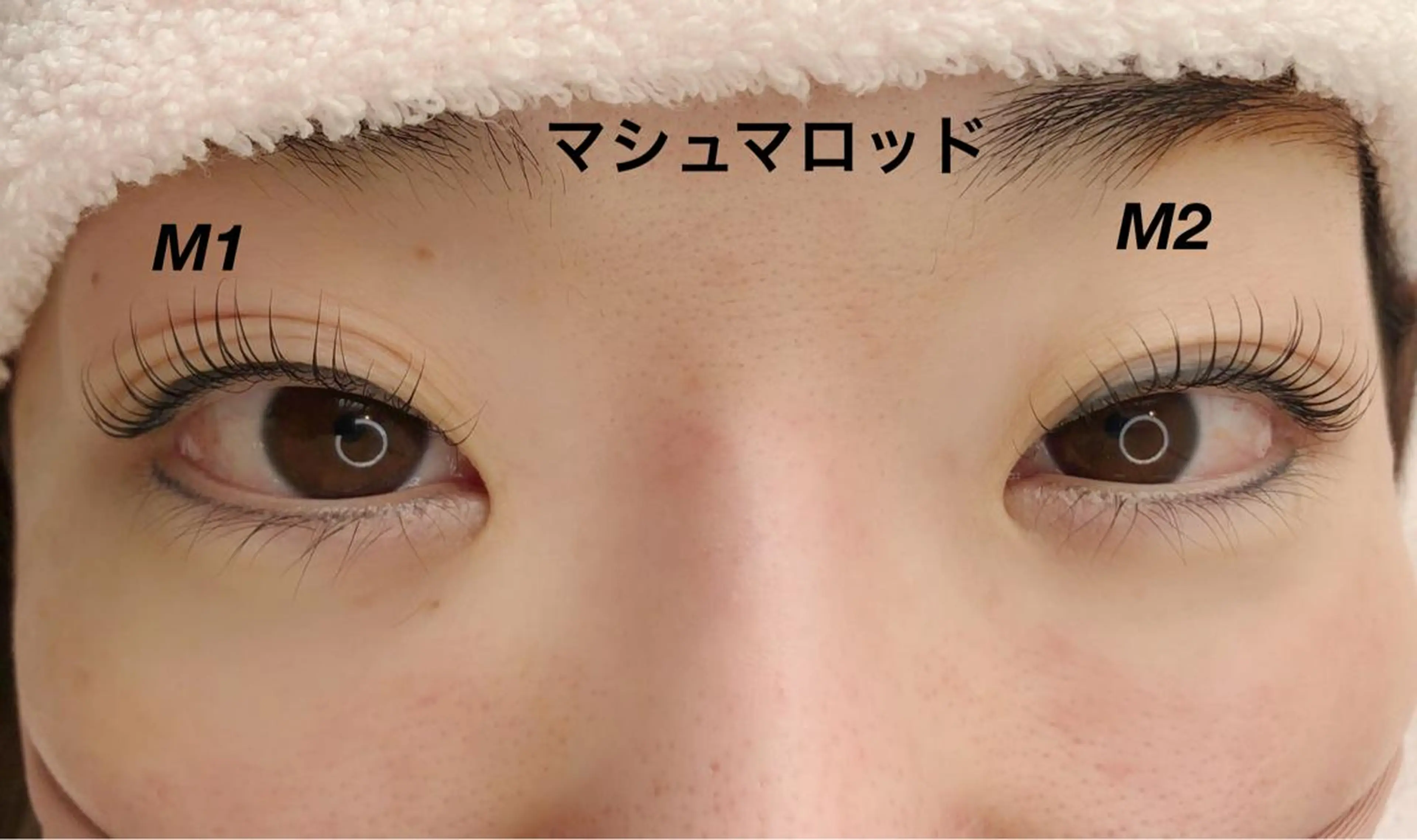 マツエク・マツパ RoseLash【青山一丁目徒歩1分】表参道所属・パリジェンヌ/まつパ RoseLashのマツエク・マツパデザイン