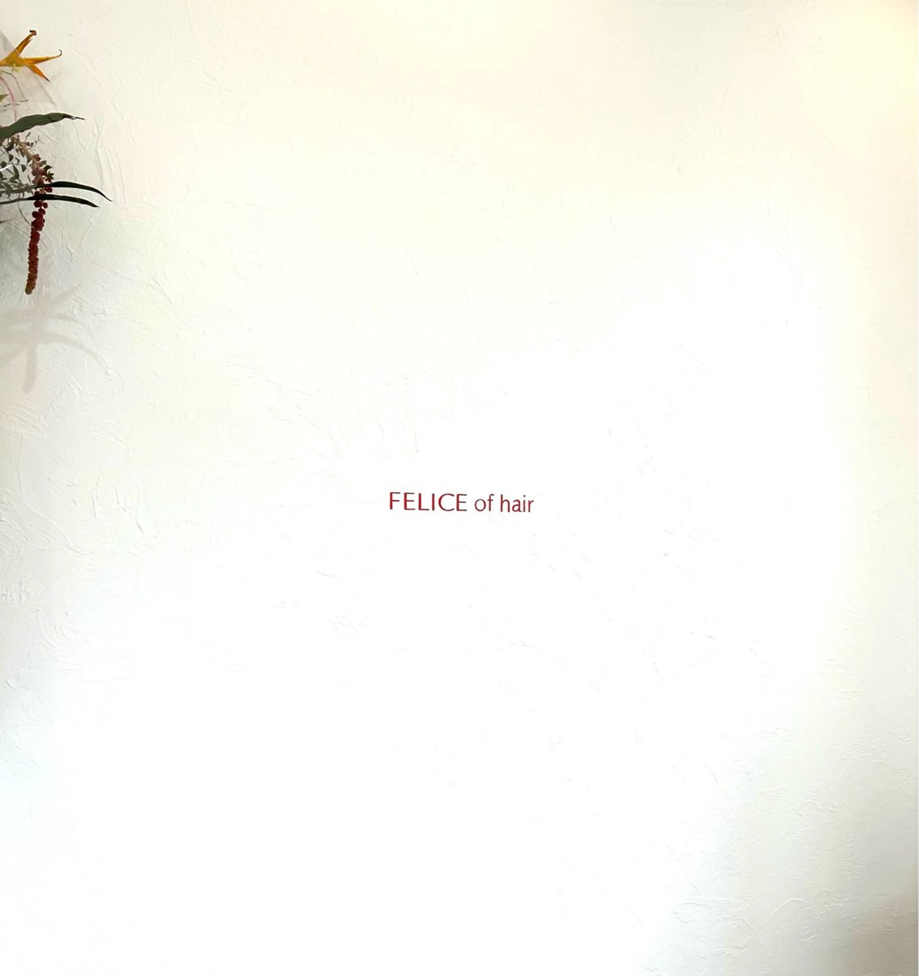 FELICE of hair所属・堀 大輔のヘアスタイル