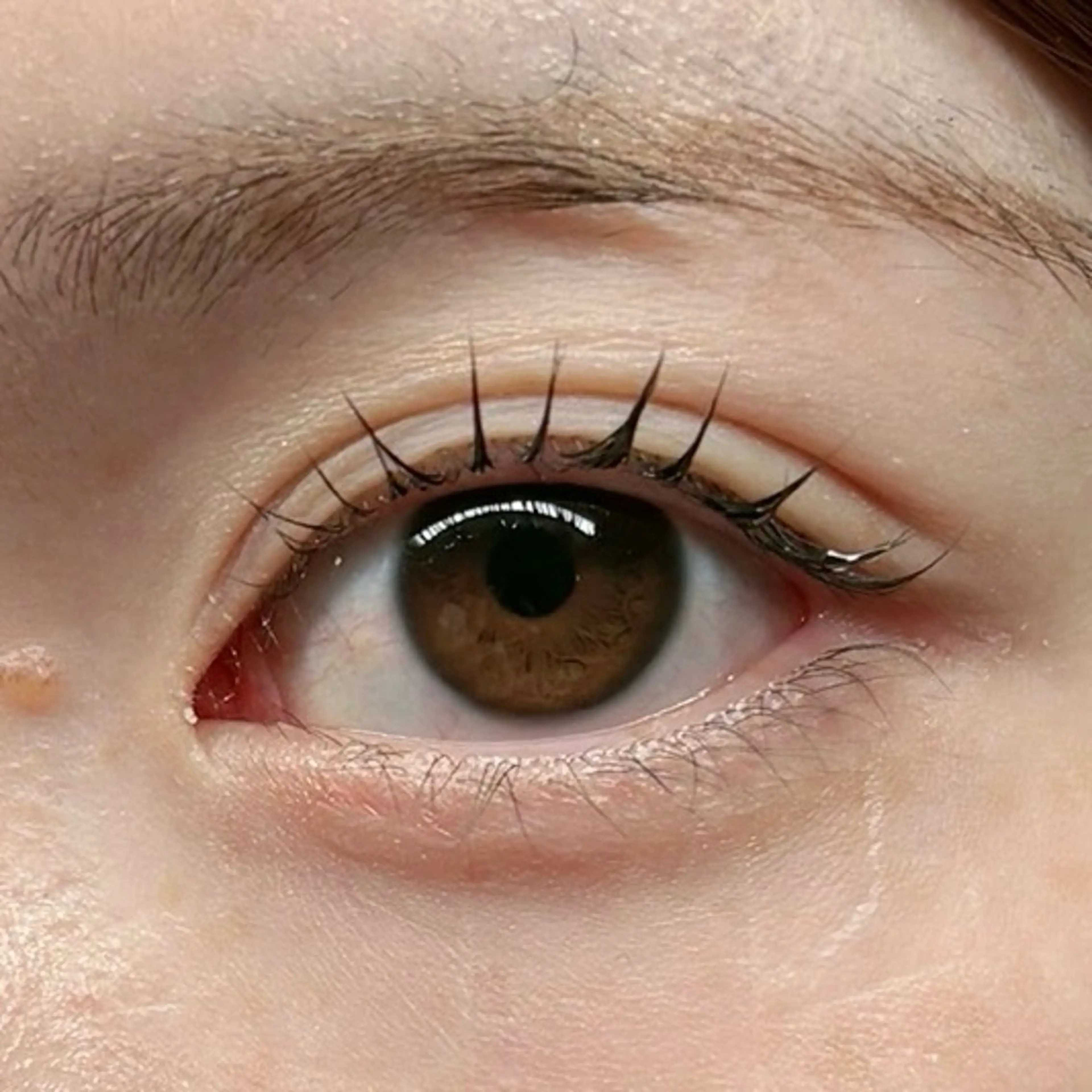 マツエク・マツパ E'chic所属・yoshida ayaka🪐のマツエク・マツパデザイン