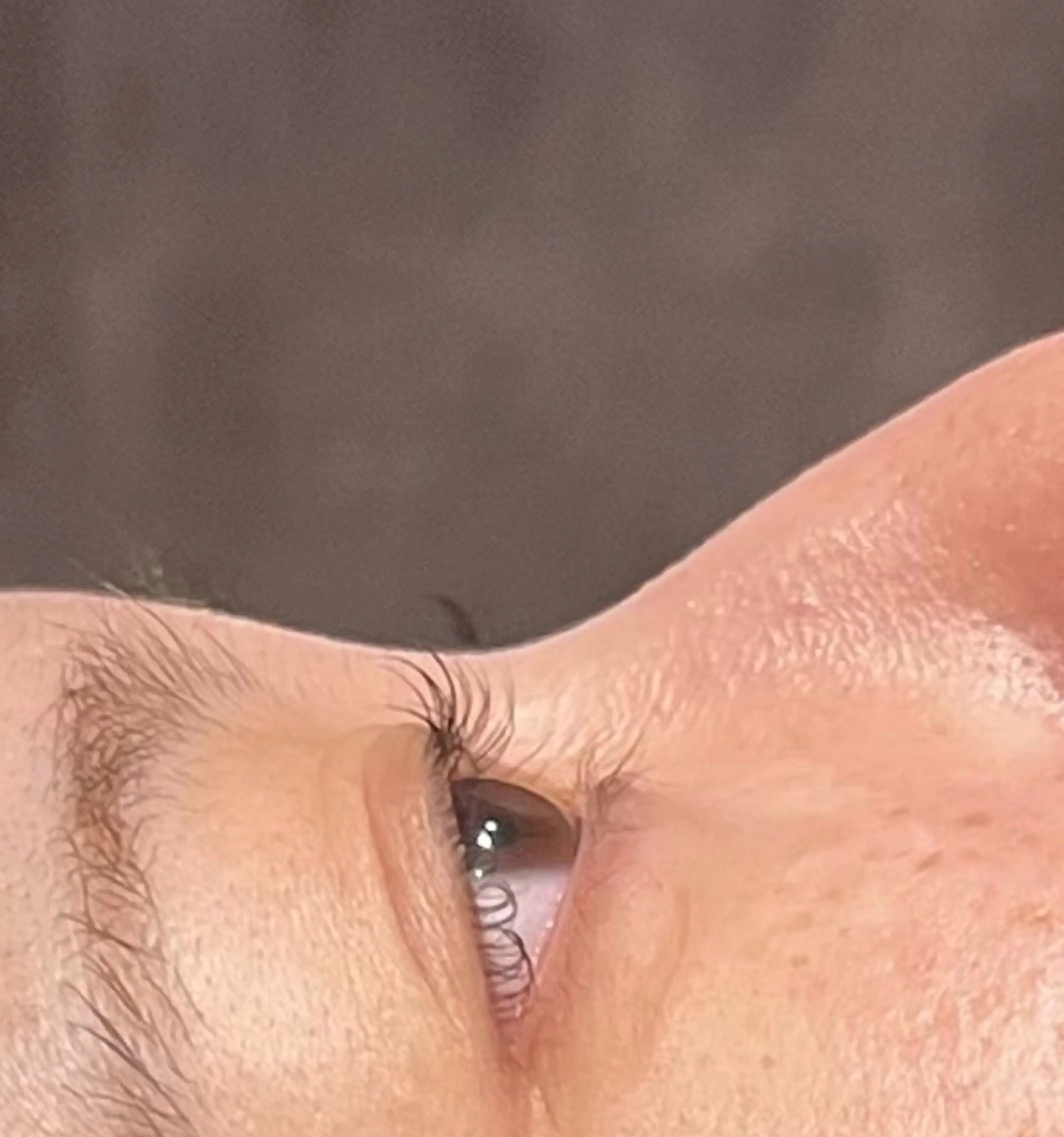 マツパモデルの写真