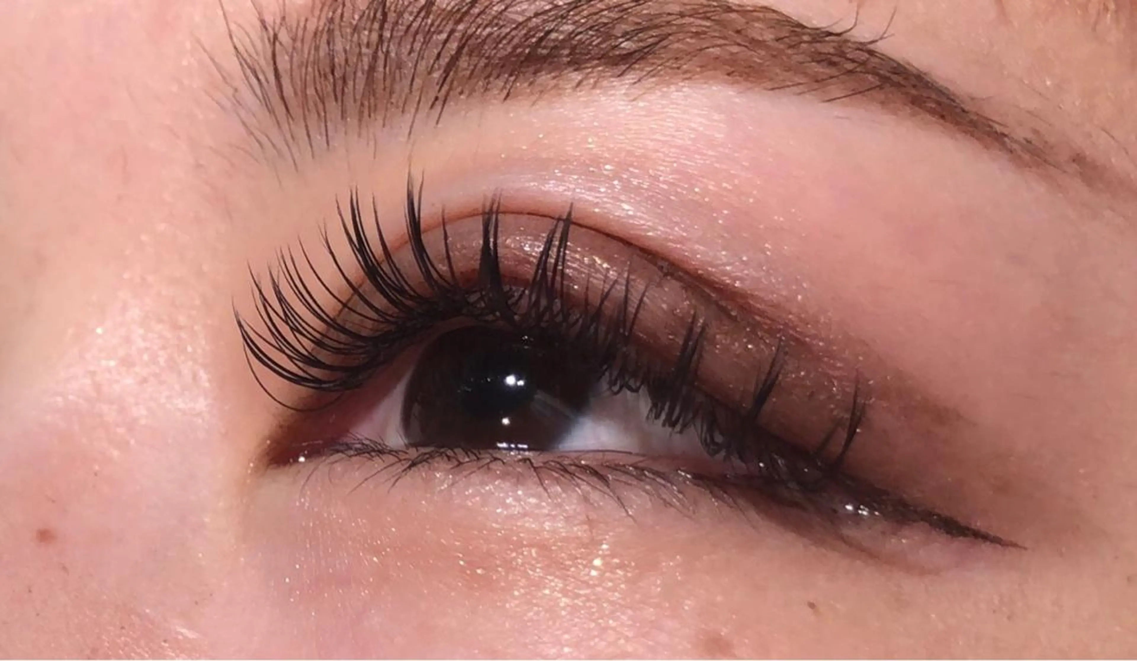 《🌷 カシミヤセーブル 🌷》フラットラッシュ上100本まで付け放題/オフ＆コーティング付✨の写真