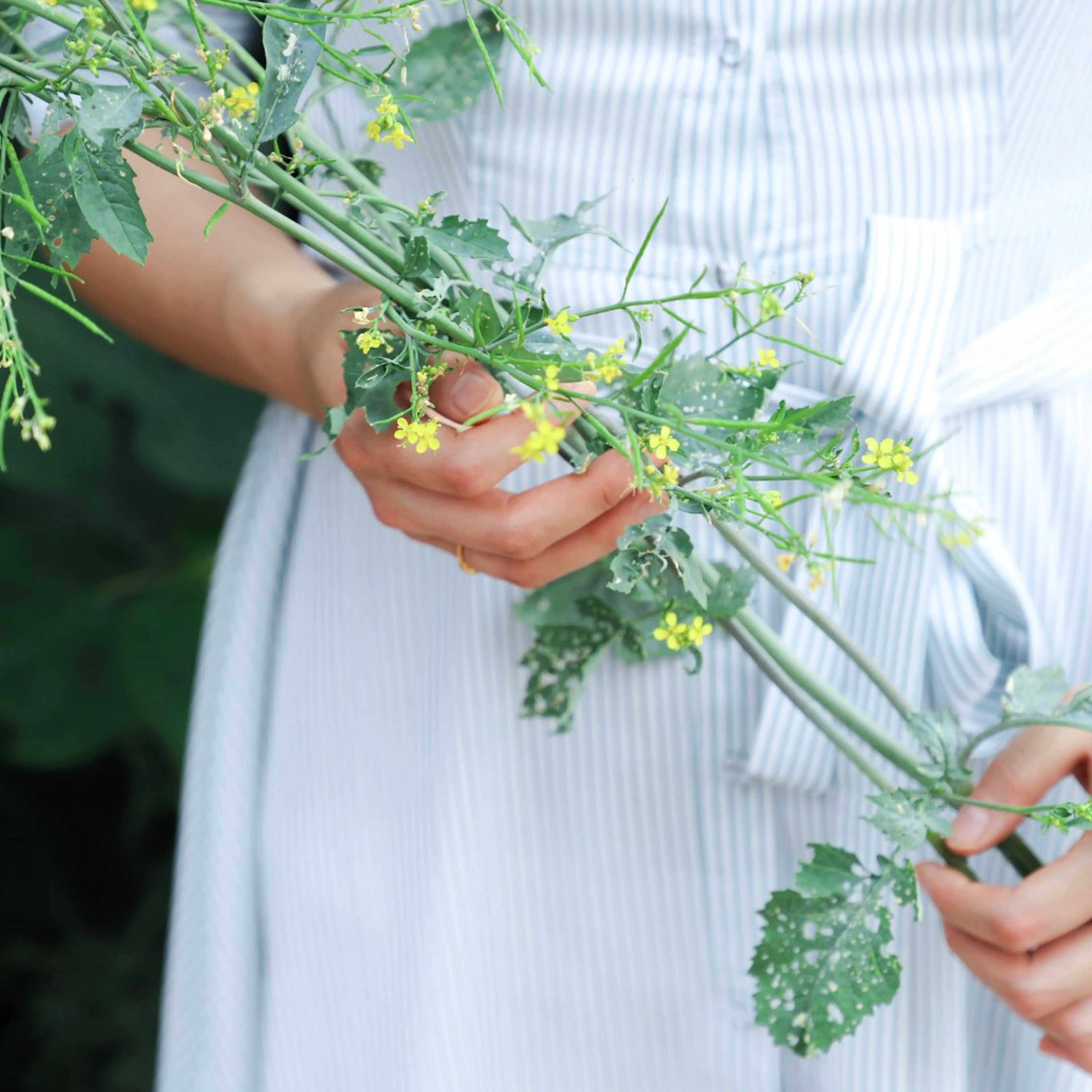 🧠脳腸相関🧠腸マッサージ✨美腸リンパドレナージュ💆‍♀️腸活.腰痛.ストレス.むくみ💓の写真