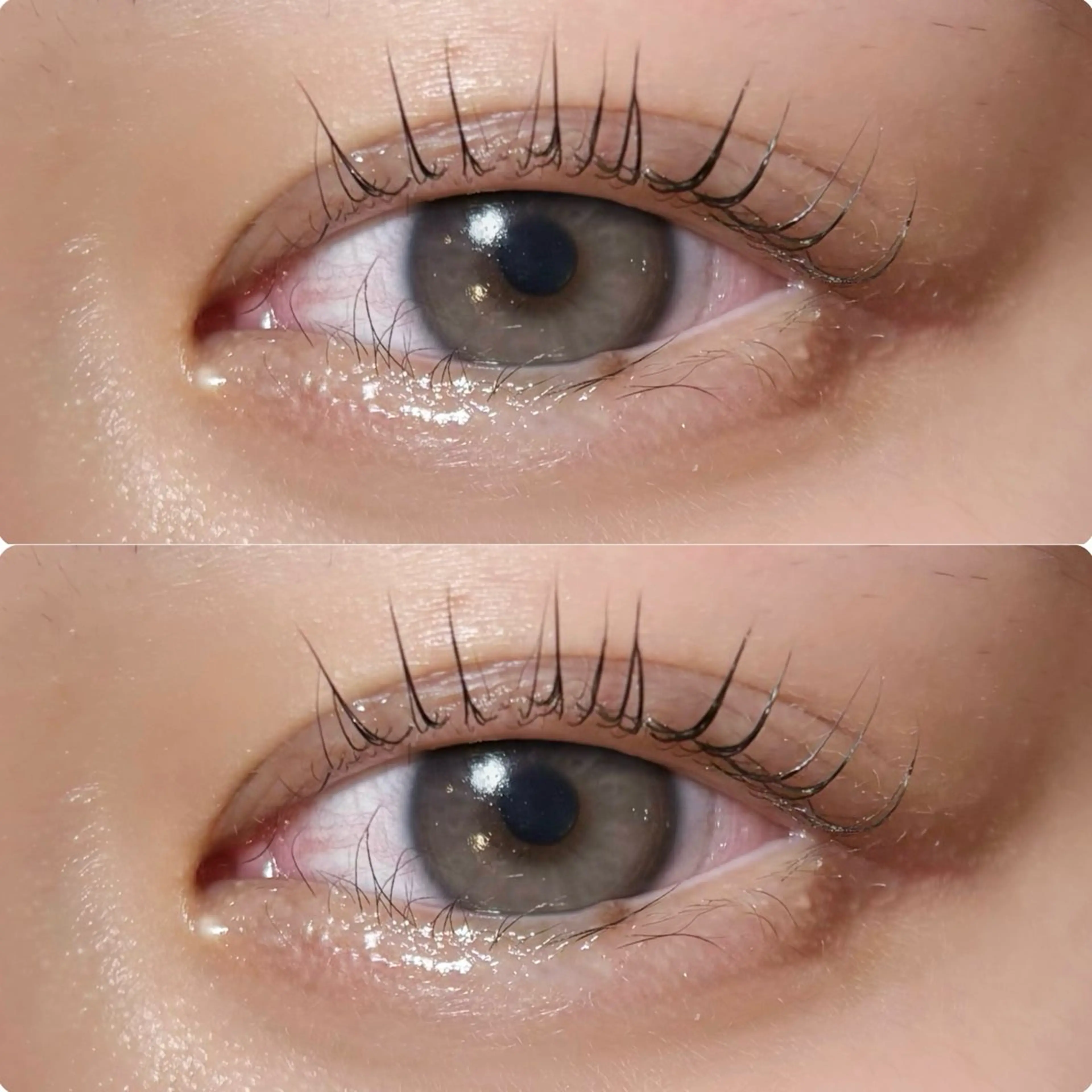 マツエク・マツパ meguru／マツパ ／マツエク／束感のマツエク・マツパデザイン