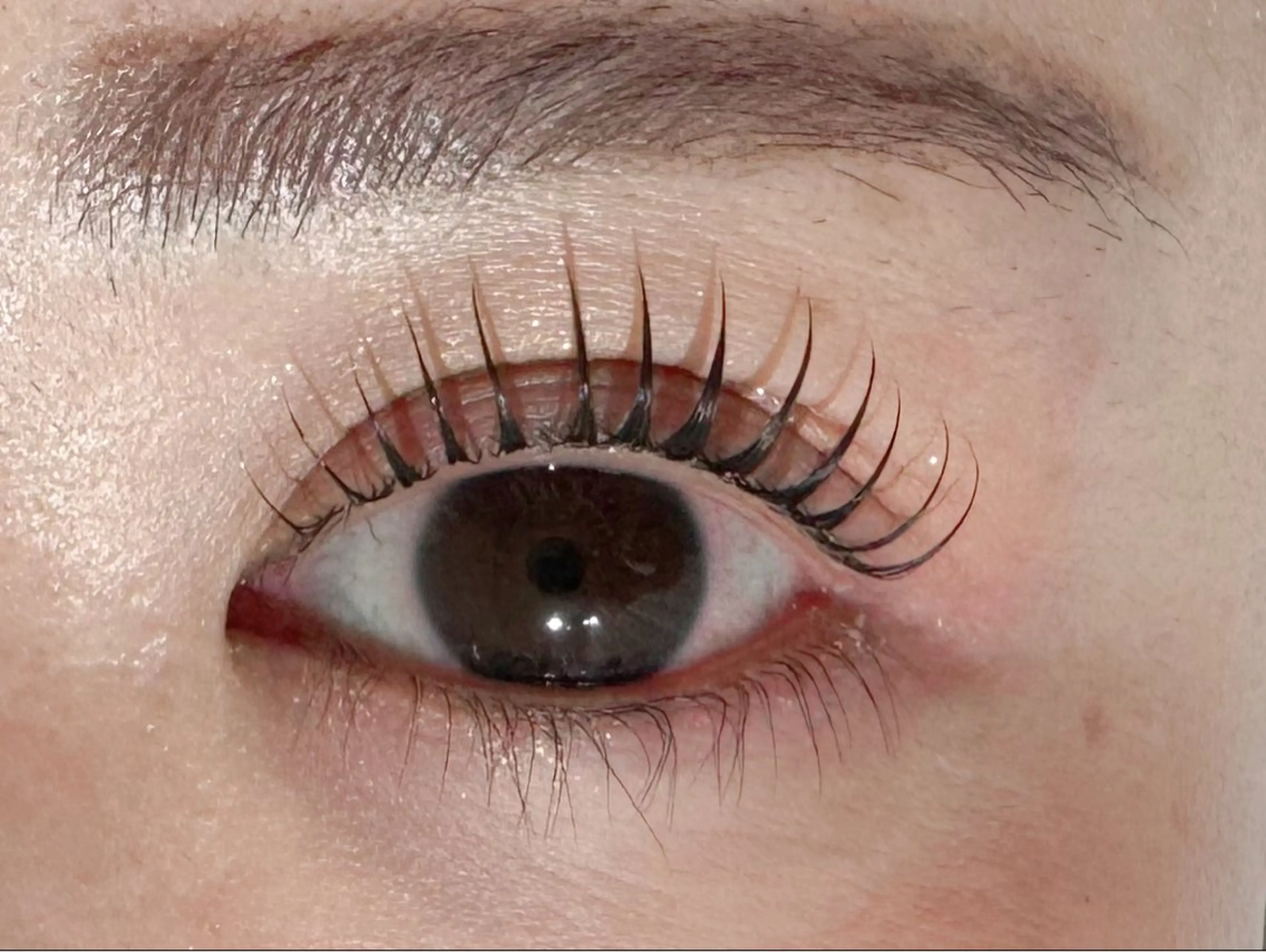 マツエク・マツパ LAUREL まつパ🌷Yuinaのマツエク・マツパデザイン