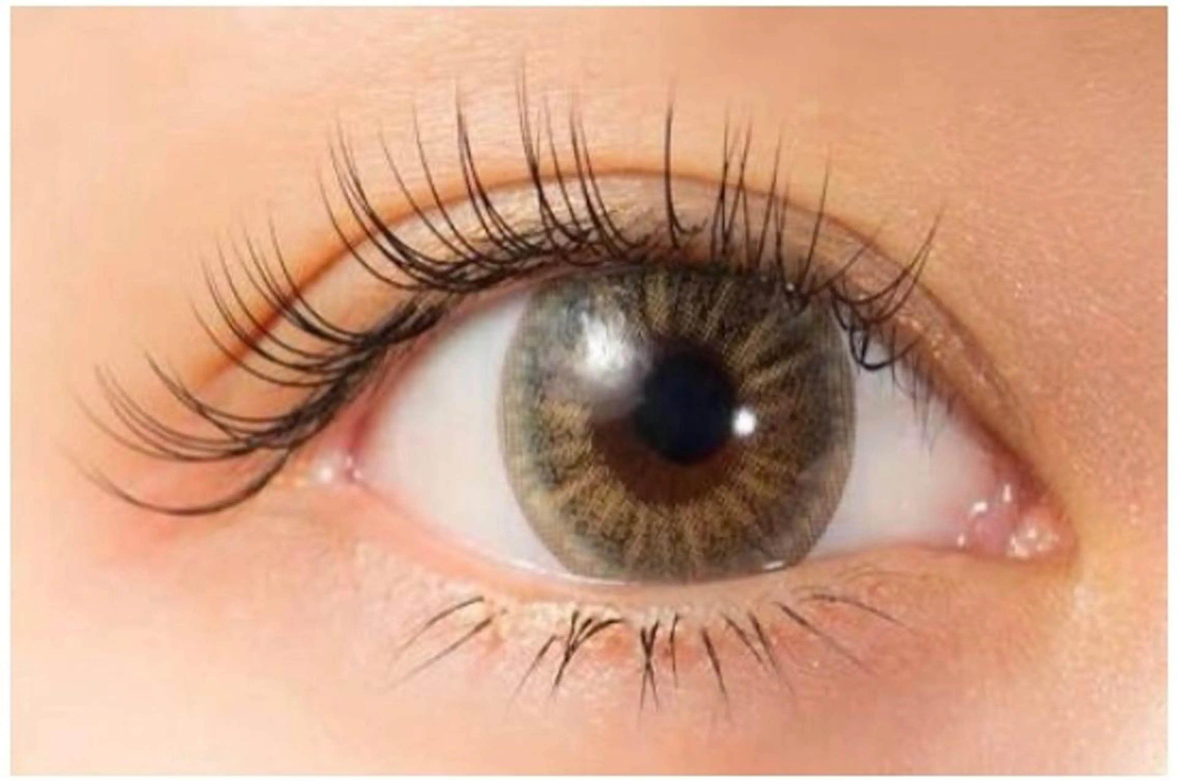 高級プラチナセーブル両目100本(上)の写真