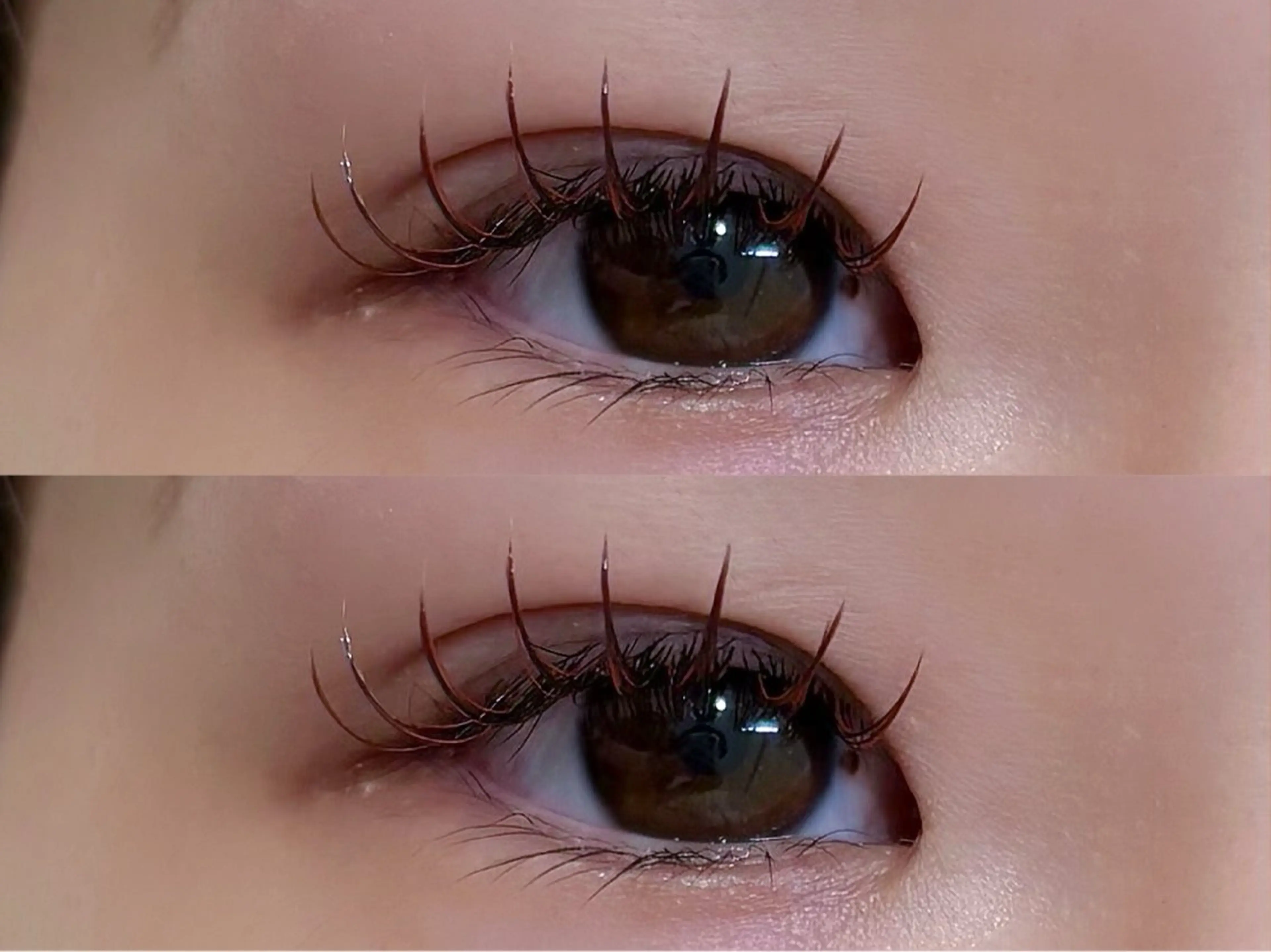 マツエク・マツパ 〰️sofa🪧 Kiguchiのマツエク・マツパデザイン