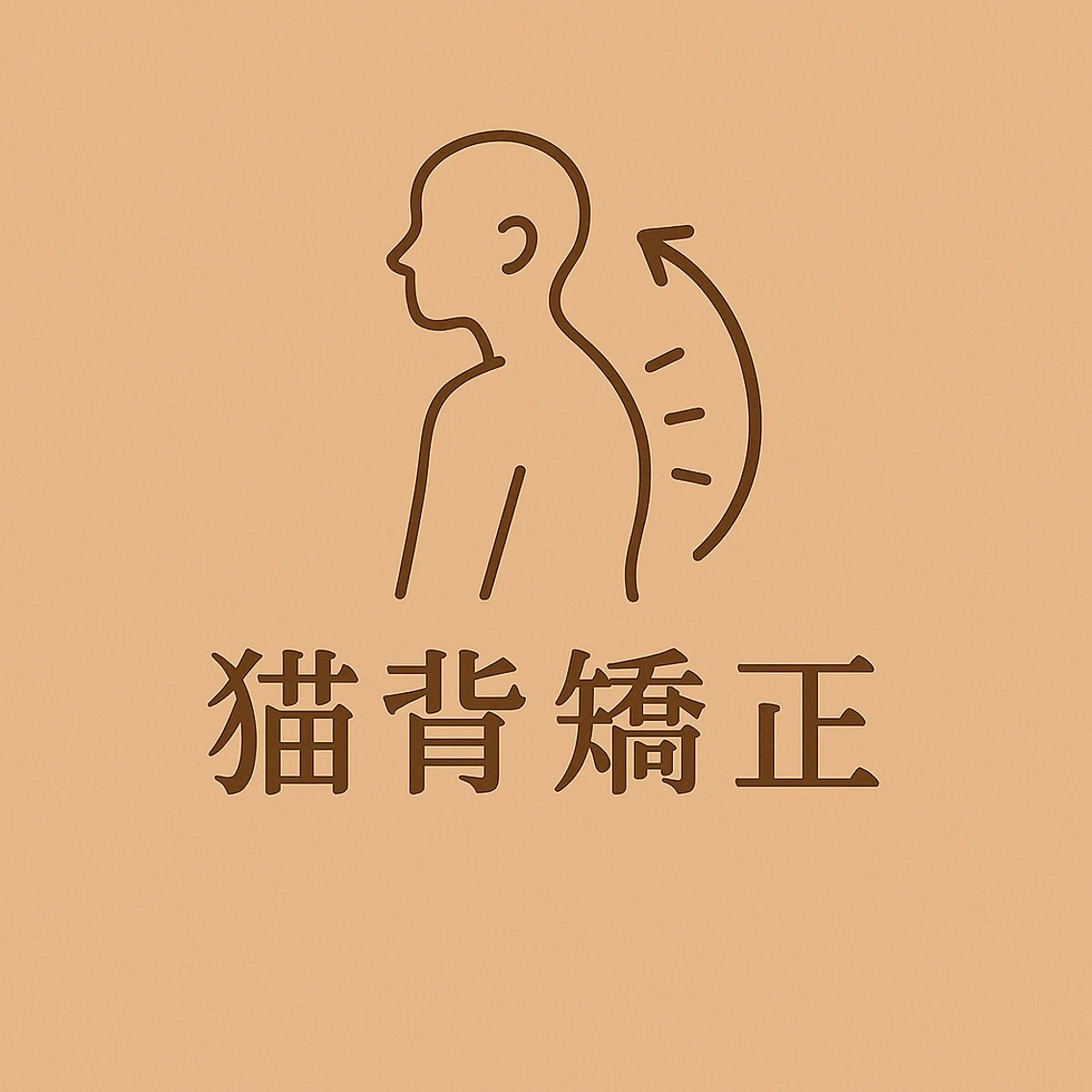 猫背矯正体験【カウンセリング込み】の写真