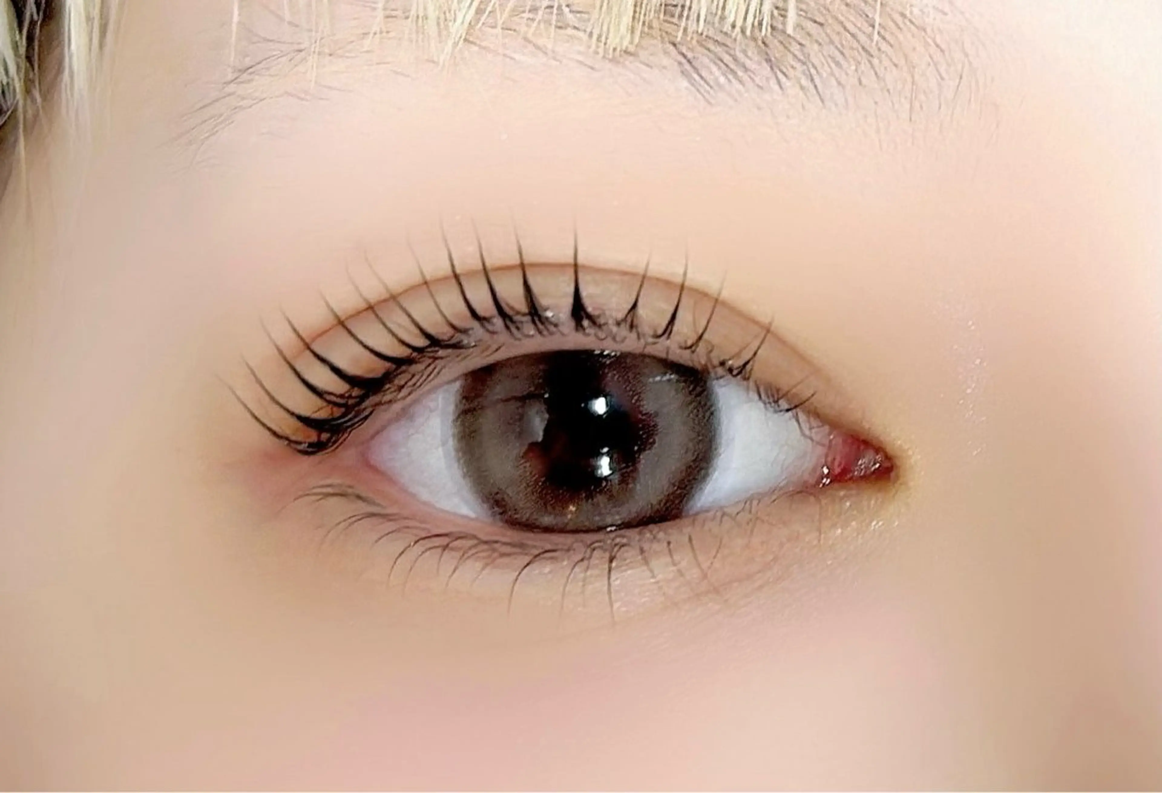 マツエク・マツパ 【パリジェンヌ・VLEDLASH専門店】FAST LASH表参道店所属・kokoha 🫧のマツエク・マツパデザイン