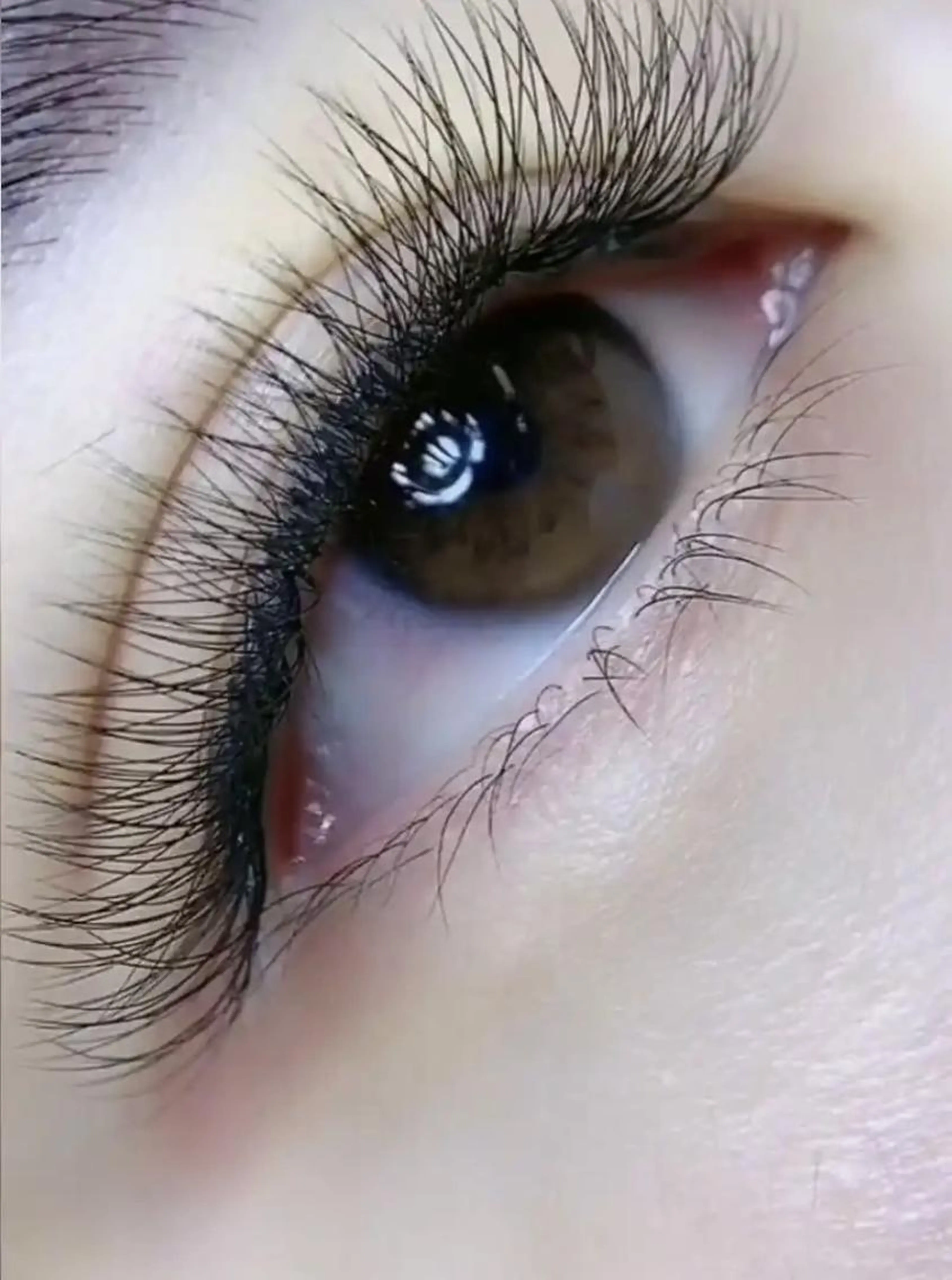 3D束感、ボリュームラッシュ80束の写真