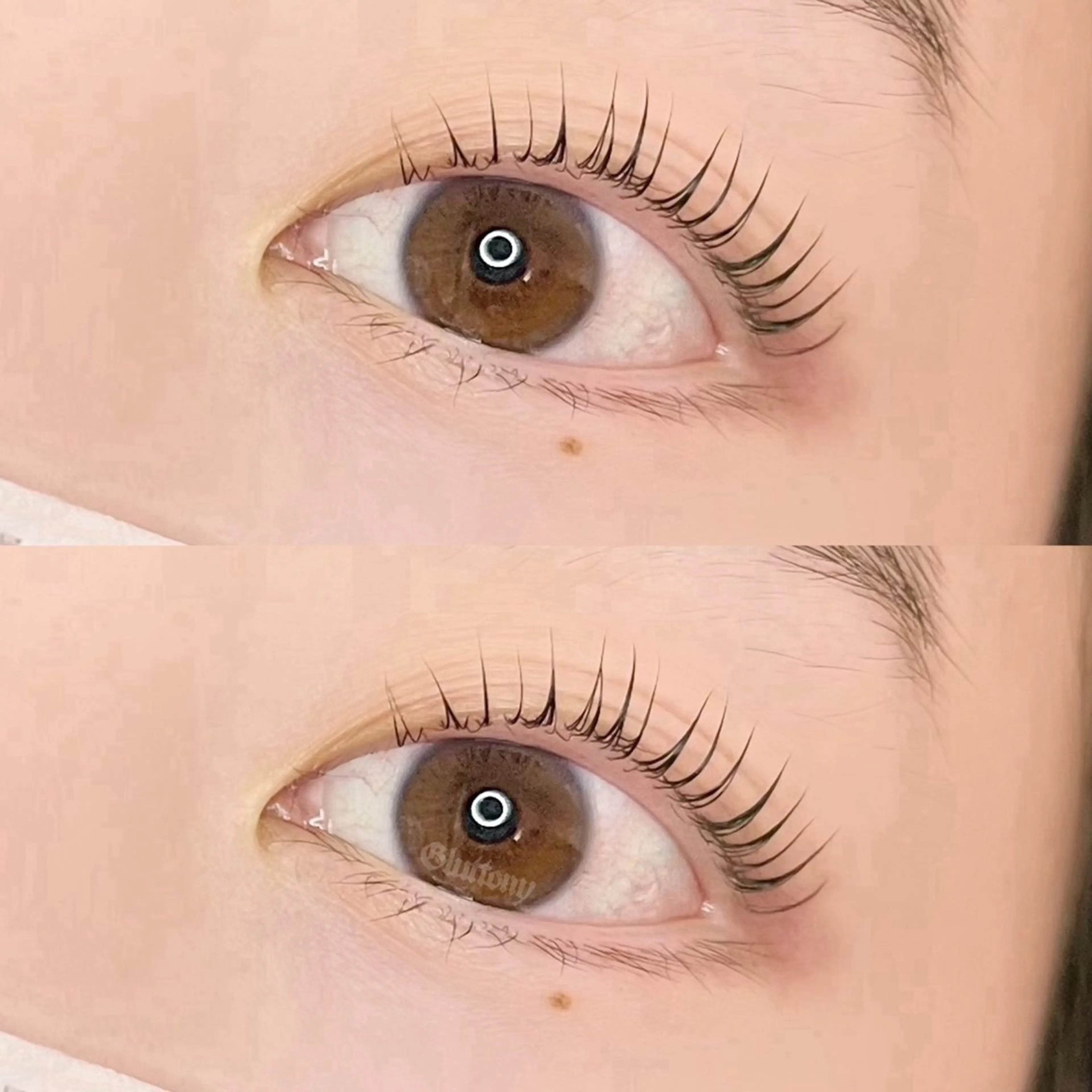 マツエク・マツパ マツパ Gluttony/ ｸﾞﾗﾄﾆｰのマツエク・マツパデザイン