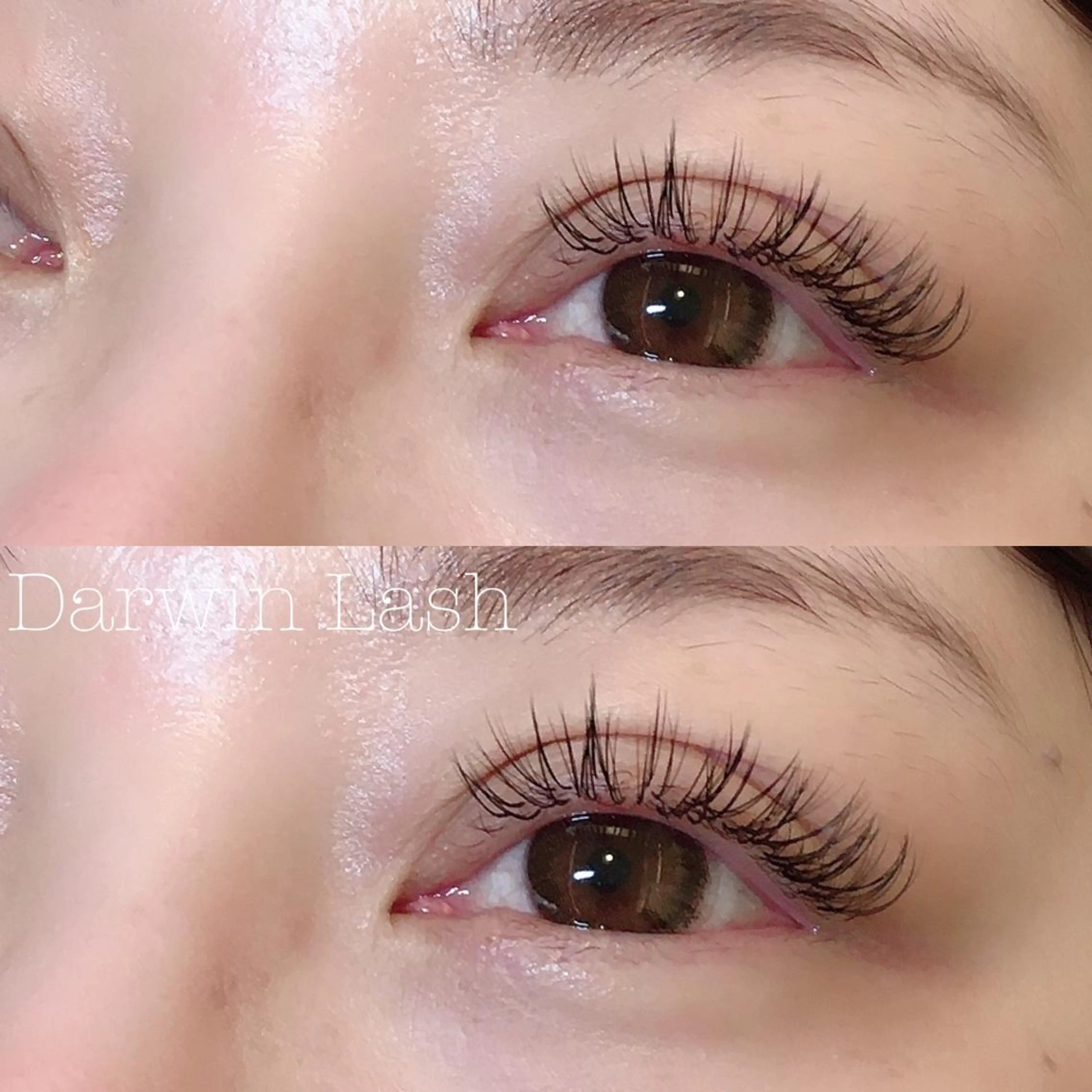 マツエク・マツパ バインドロック まつげと眉毛のお店Sakura Lash【サクララッシュ】所属・【ダメージケア特化】 🌸 サクララッシュの眉毛・アイブロウイメージ