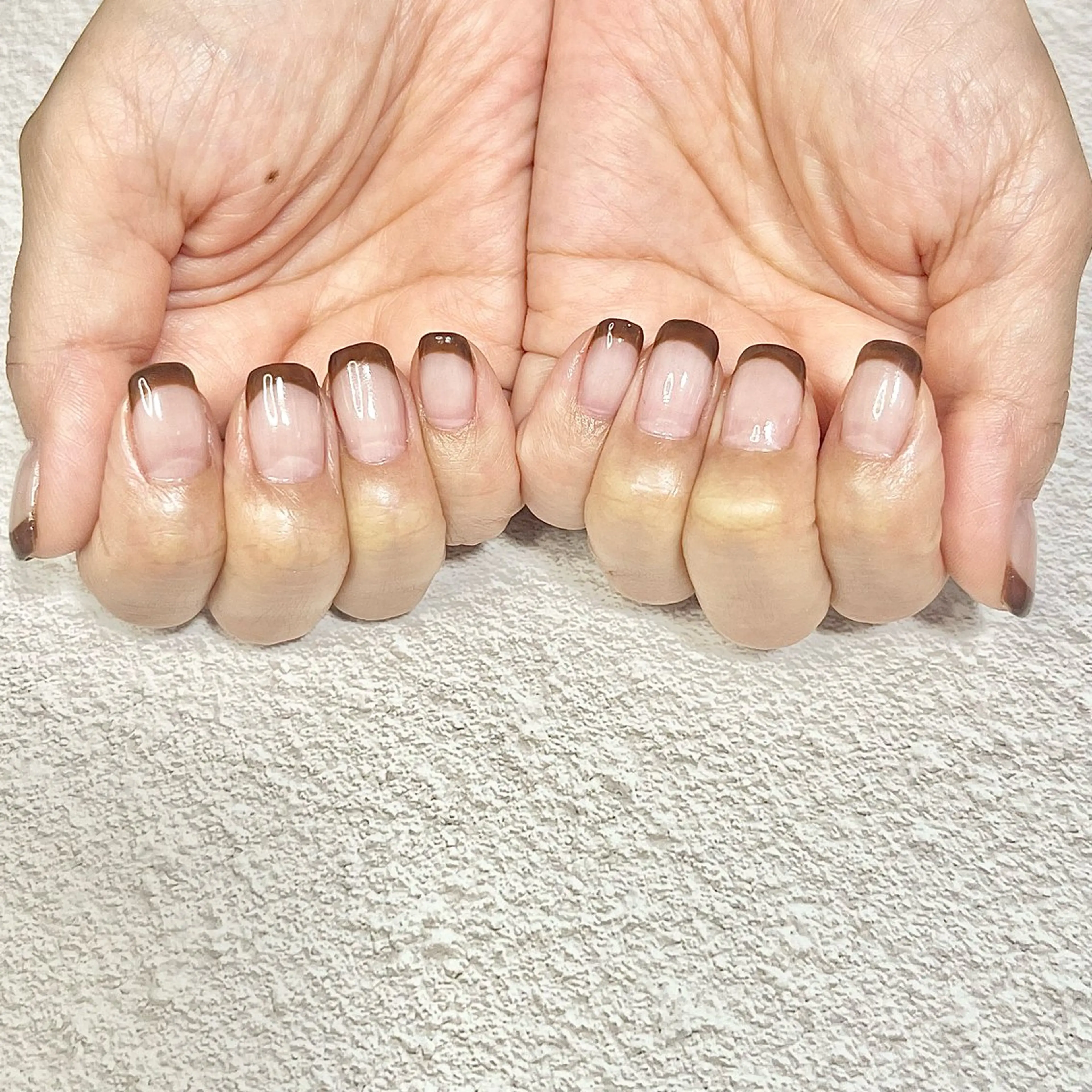 フレンチ（オフなし）の写真