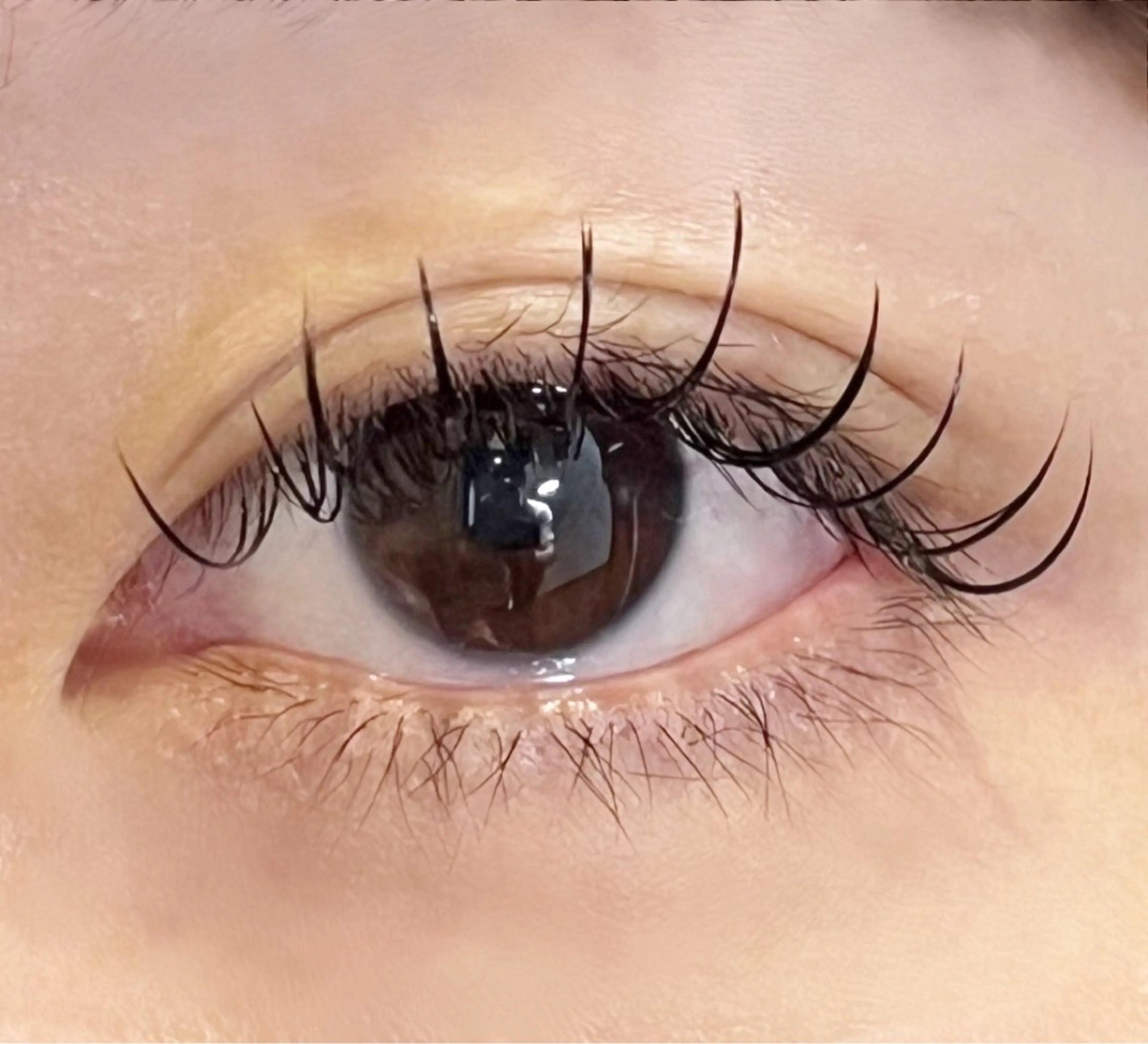 マツエク・マツパ トータルビューティサロン cure所属・鈴木 里奈のマツエク・マツパデザイン