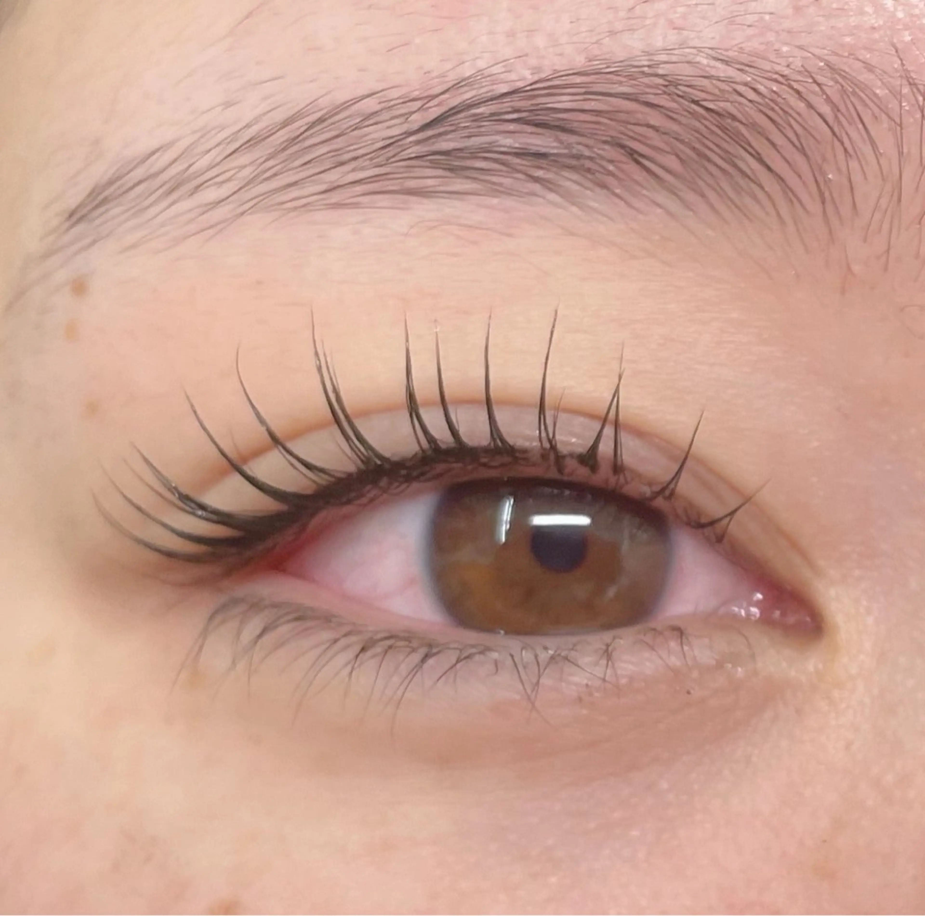まつげパーマ上下(コラーゲン美容液仕上げ)の写真