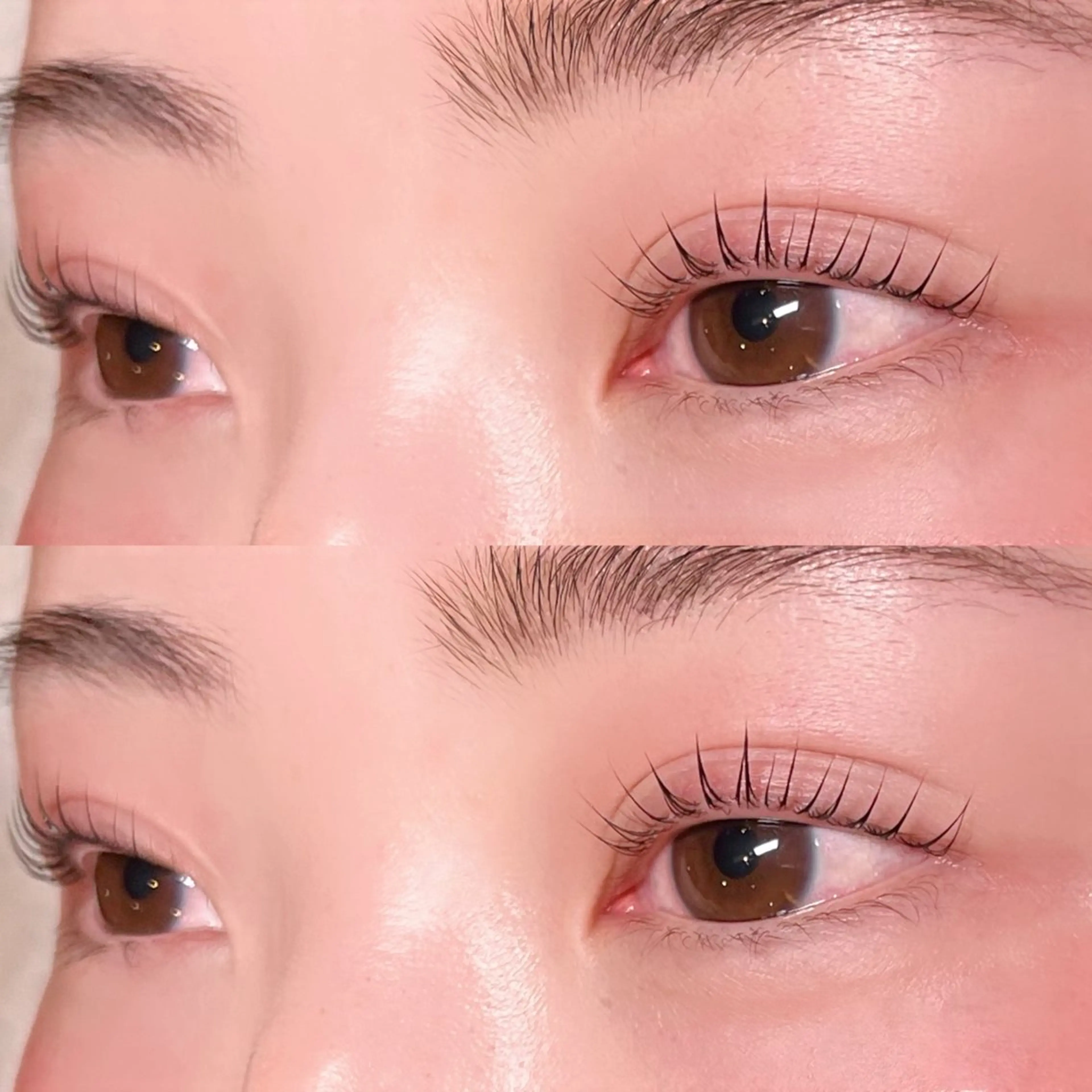 マツエク・マツパ パリジェンヌラッシュリフト KIMURA.R 🐱のマツエク・マツパデザイン