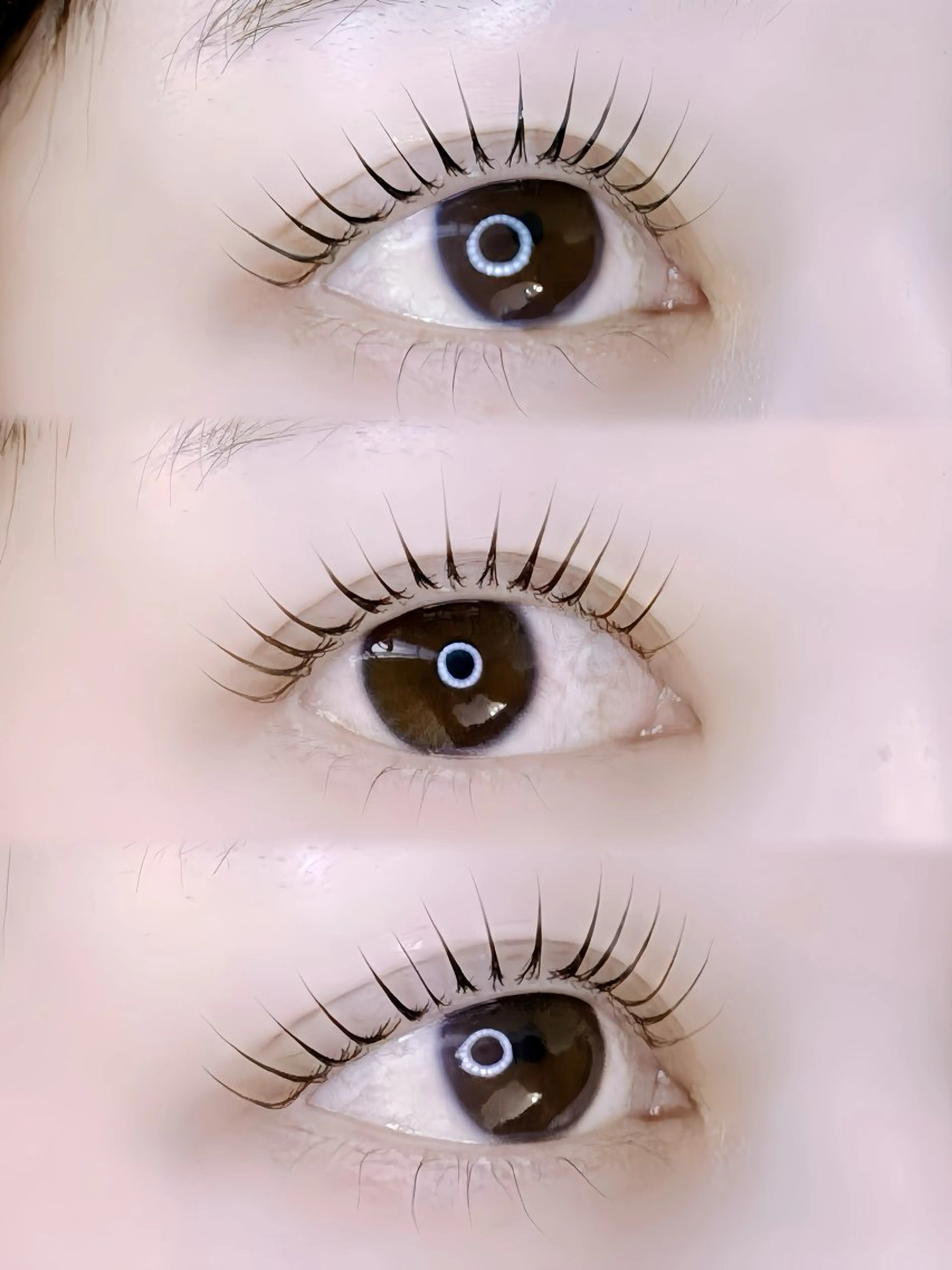 パリジェンヌラッシュリフト(アイシャンプー/トリートメント付☆)の写真