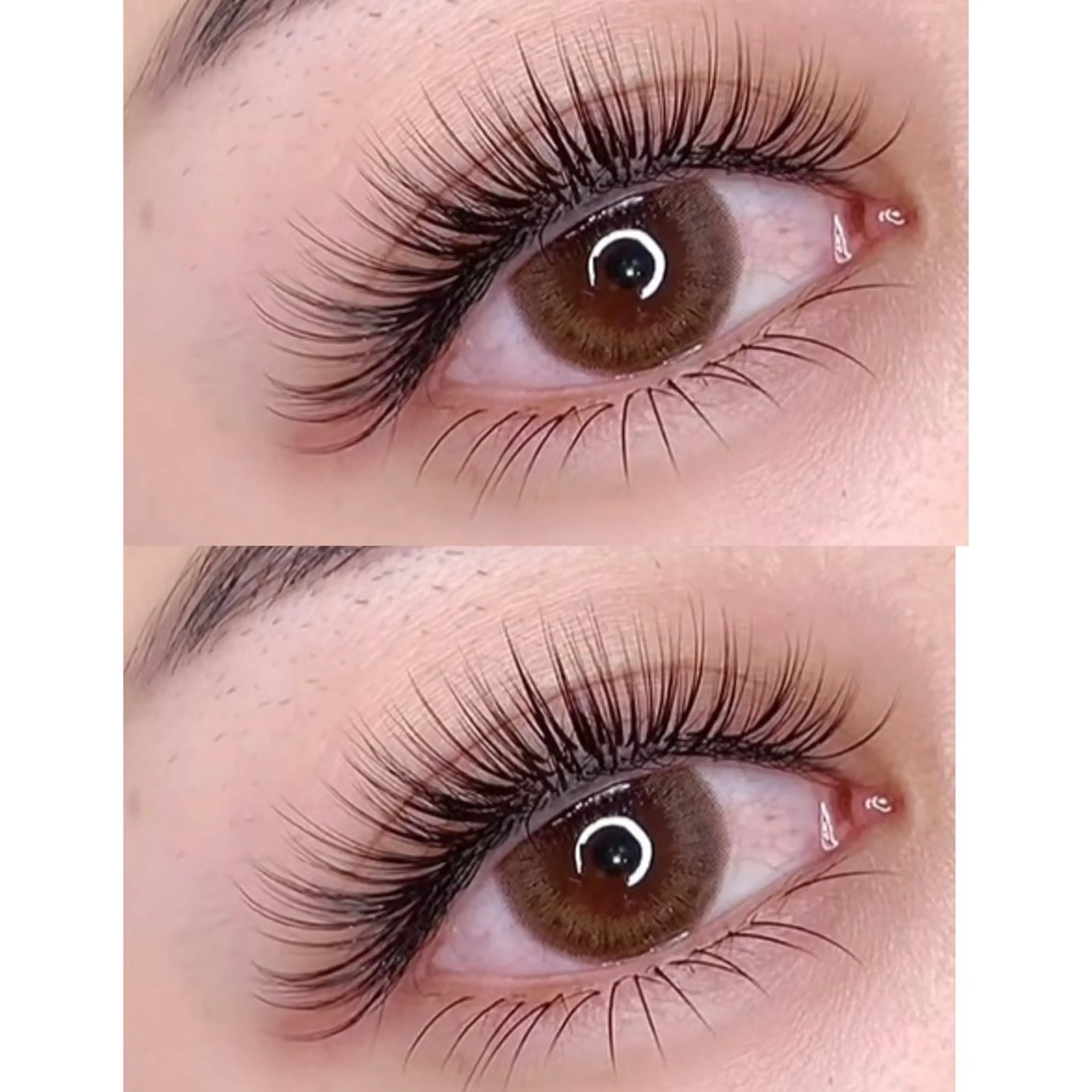 人気NO.2【LED変更0🉑】3Dボリュームラッシュ240本🔥付け出しのみ¥4280の写真