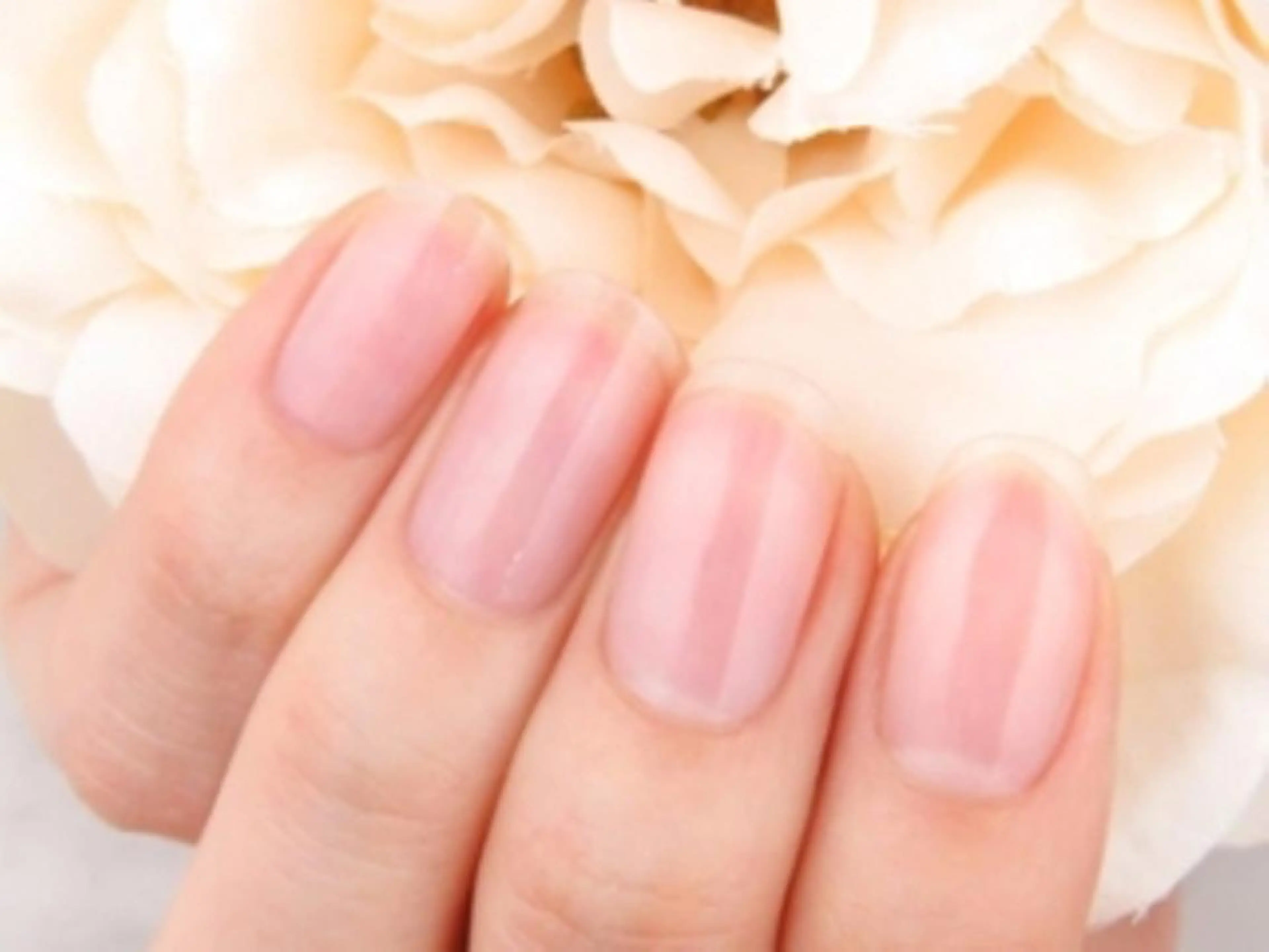 ❤ハンドorフット💅チビ爪・噛み爪さん…手を綺麗に見せたいジェルクリア仕上げ【ジェルオフあり無料&甘皮ケア込】の写真