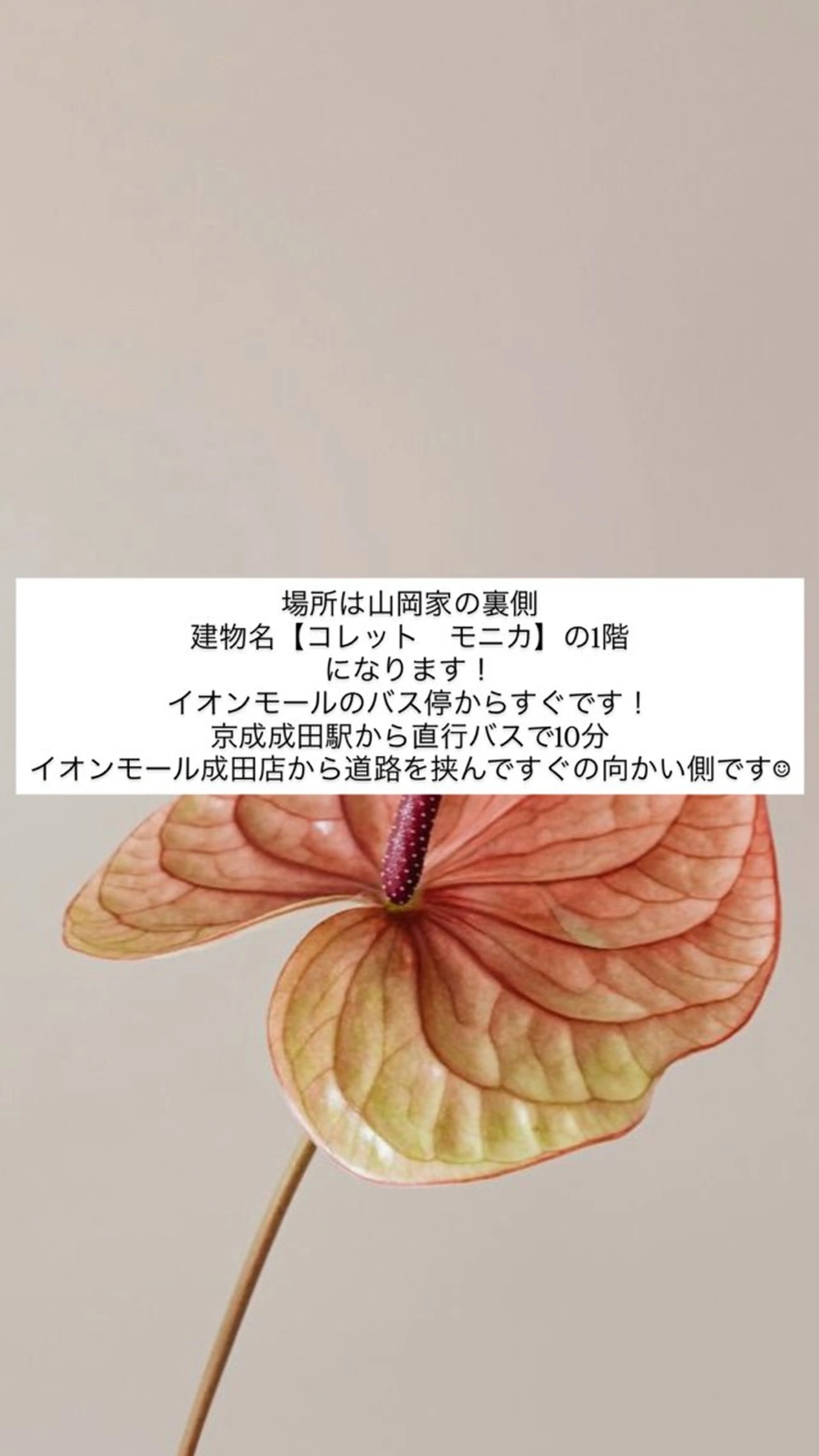 ネイル 佐藤 穂乃香のネイルデザイン