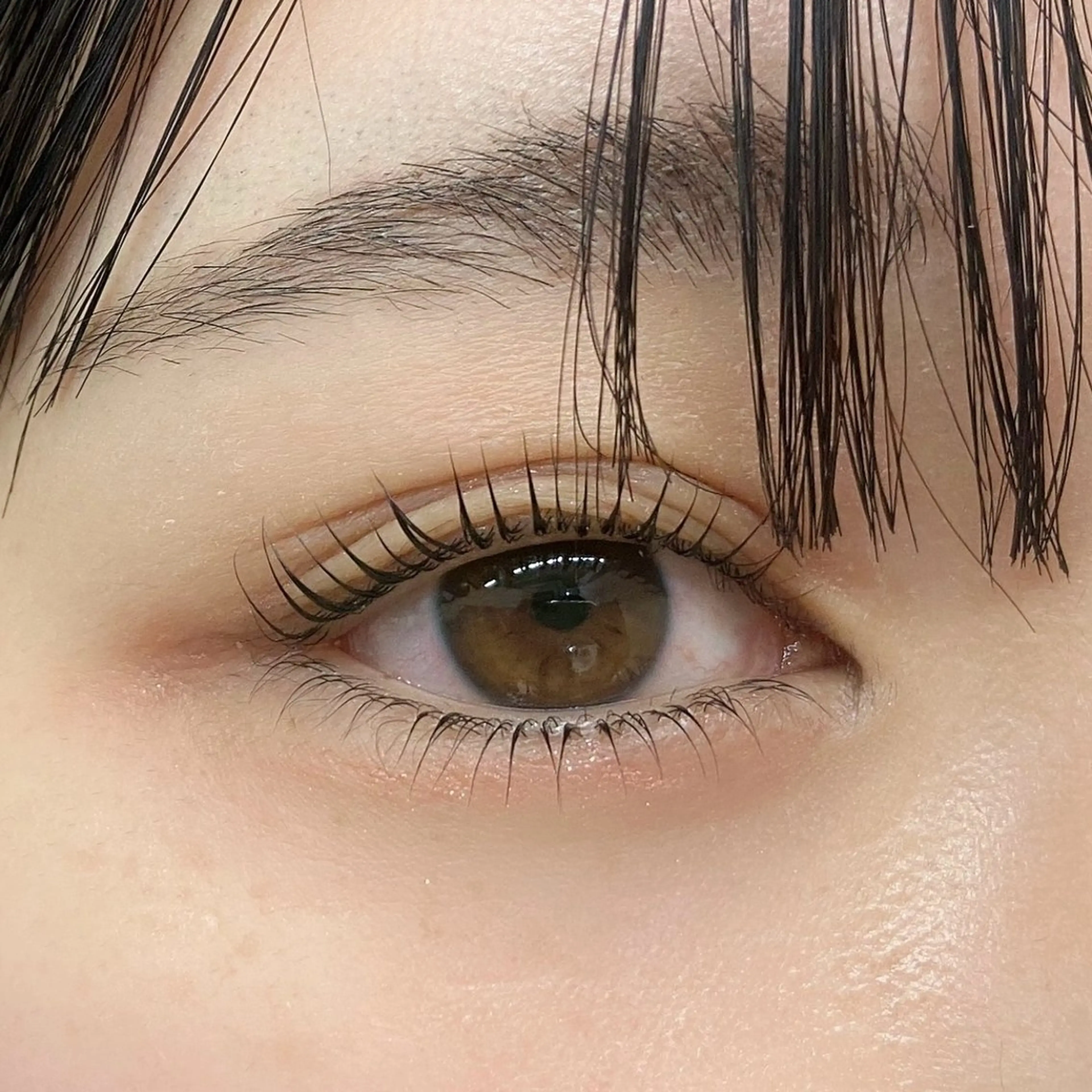 🎀上下パリジェンヌ🎀アイシャンプー＋トリートメント付きの写真