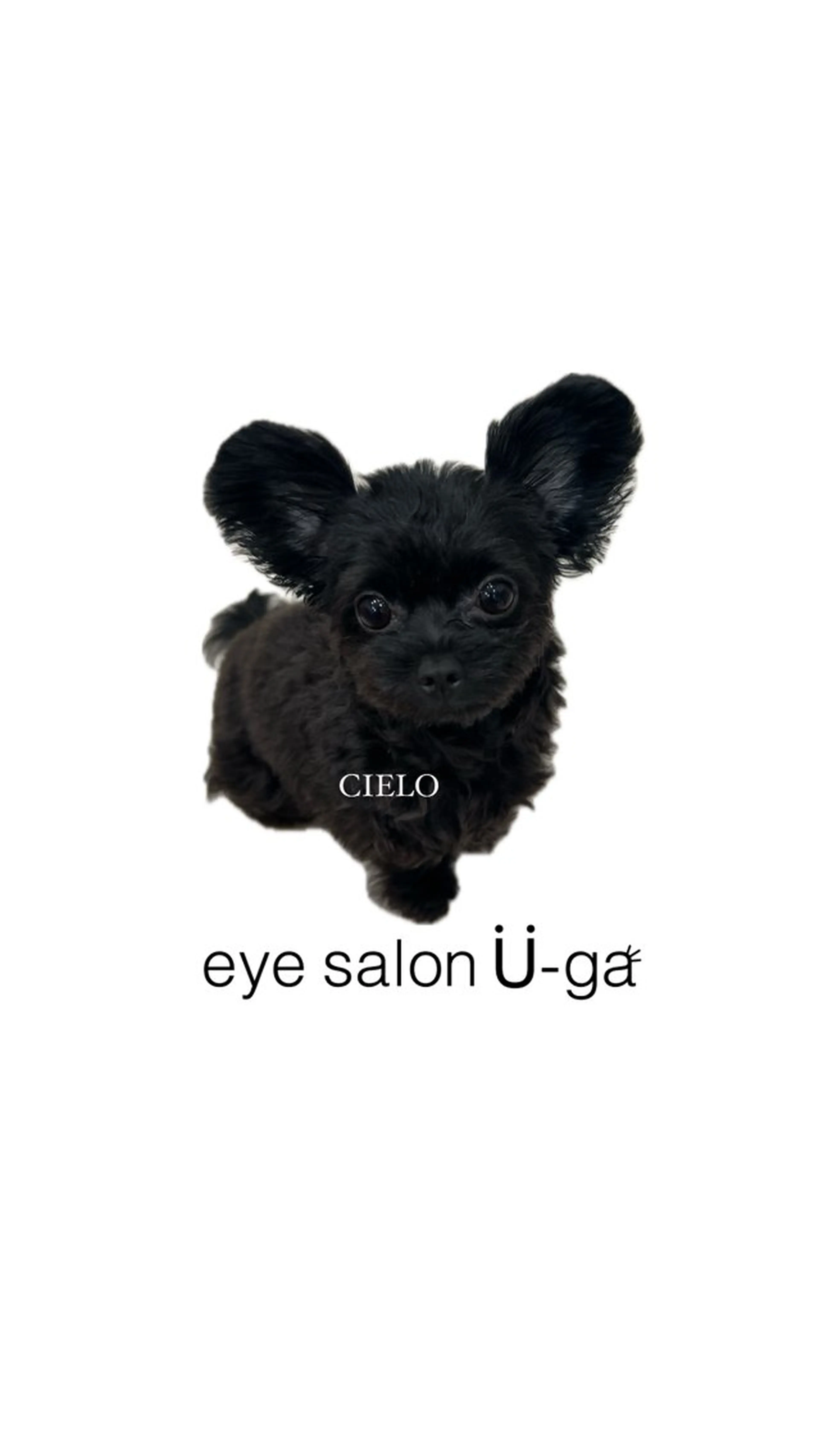eye salon u-ga所属・eye salon U-ga/中目黒のその他イメージ