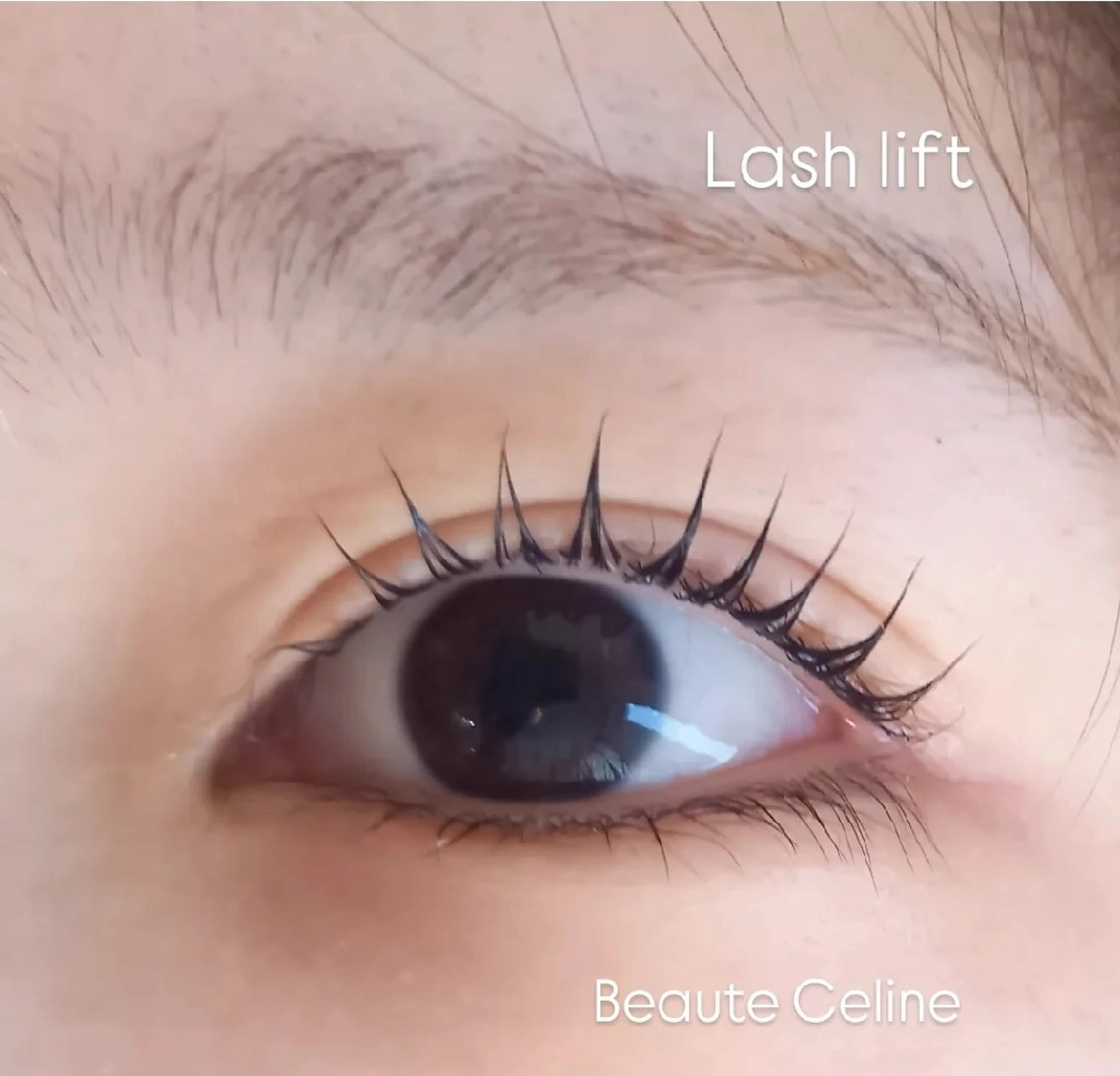 マツエク・マツパ マツパ beaute.celine所属・ぱっちりパーマ🤎 ﾎﾞｰﾃCelineのマツエク・マツパデザイン