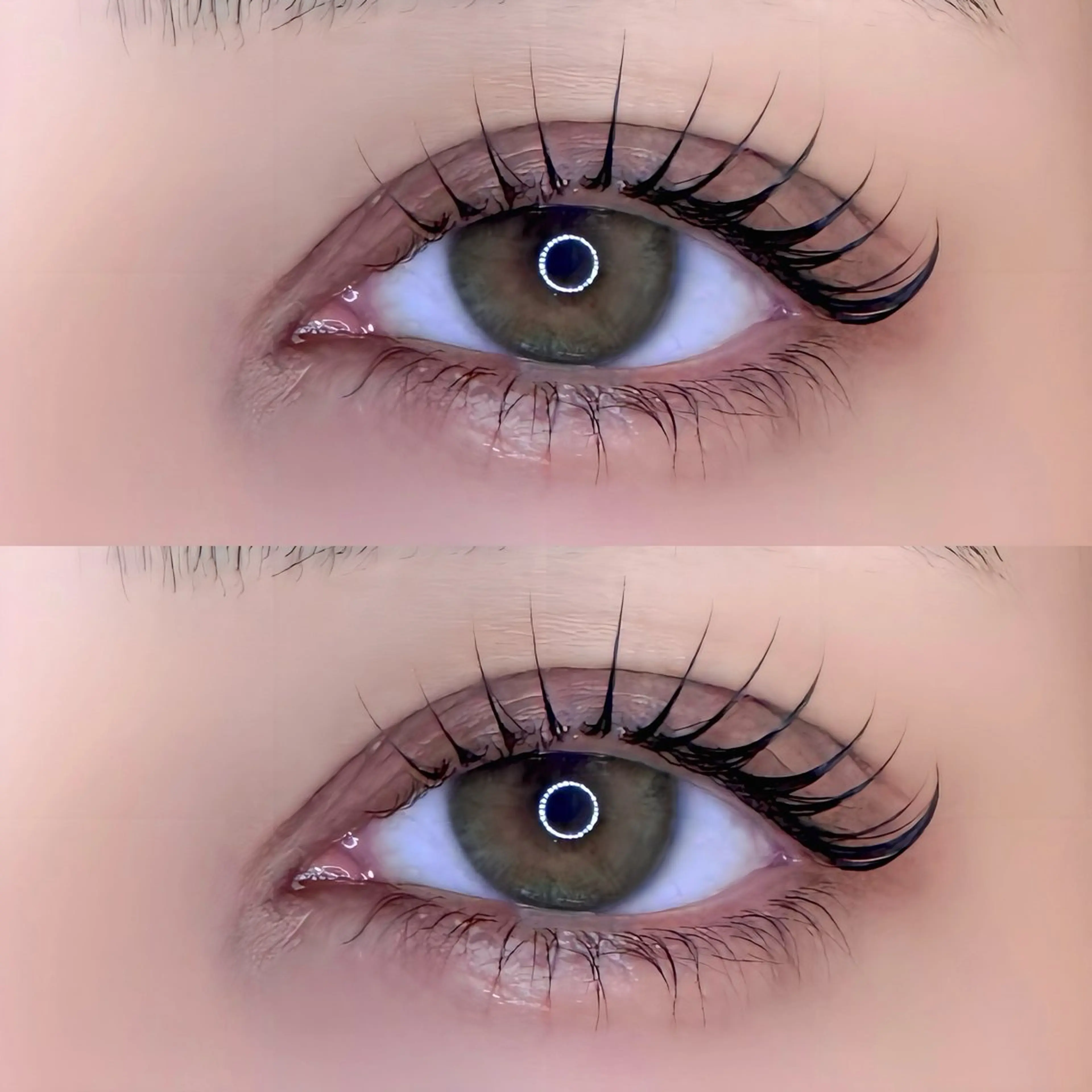 マツエク・マツパ 🐰🫧fein. moyu🐰🫧のマツエク・マツパデザイン