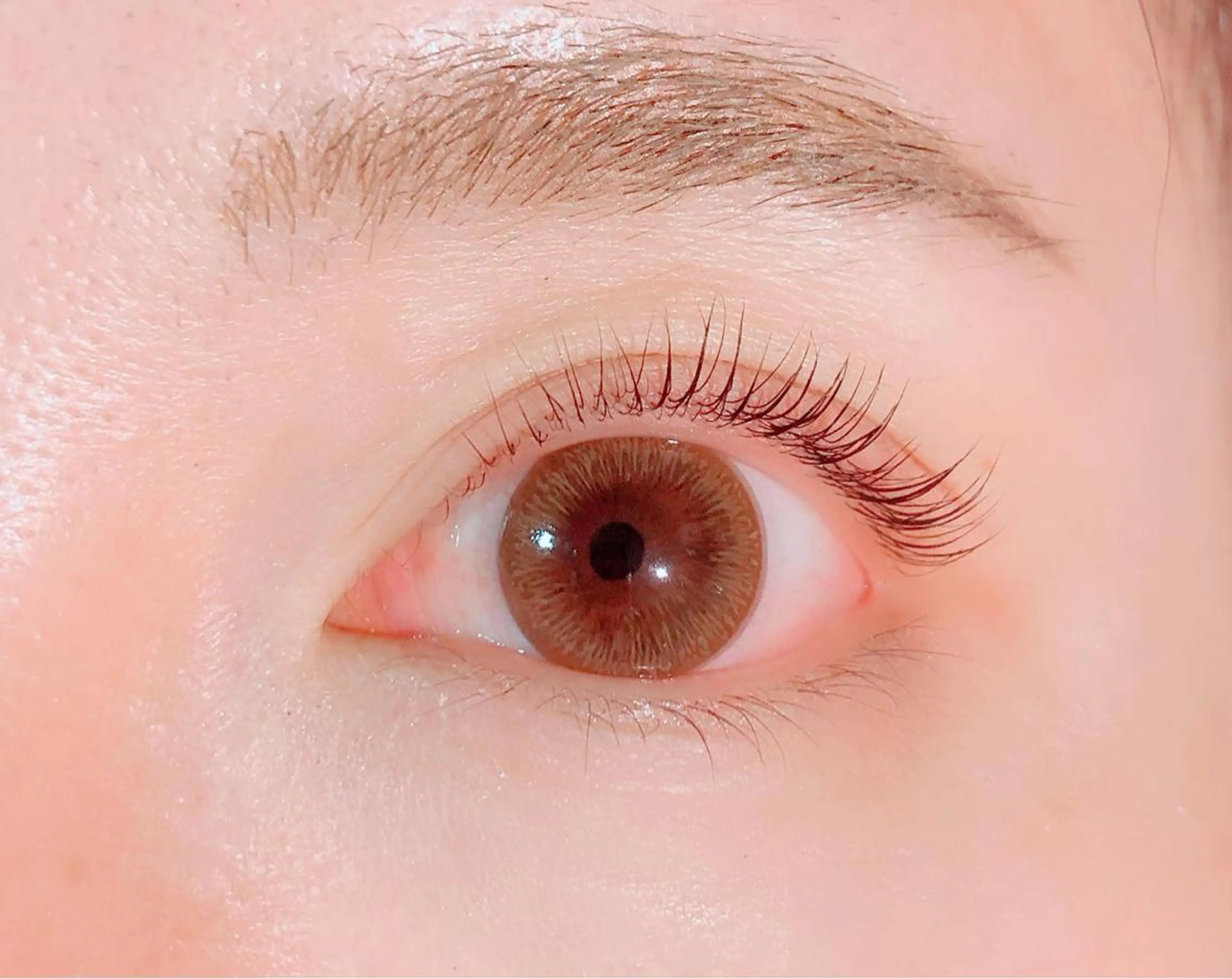 マツエク・マツパ mary メアリーの眉毛・アイブロウイメージ