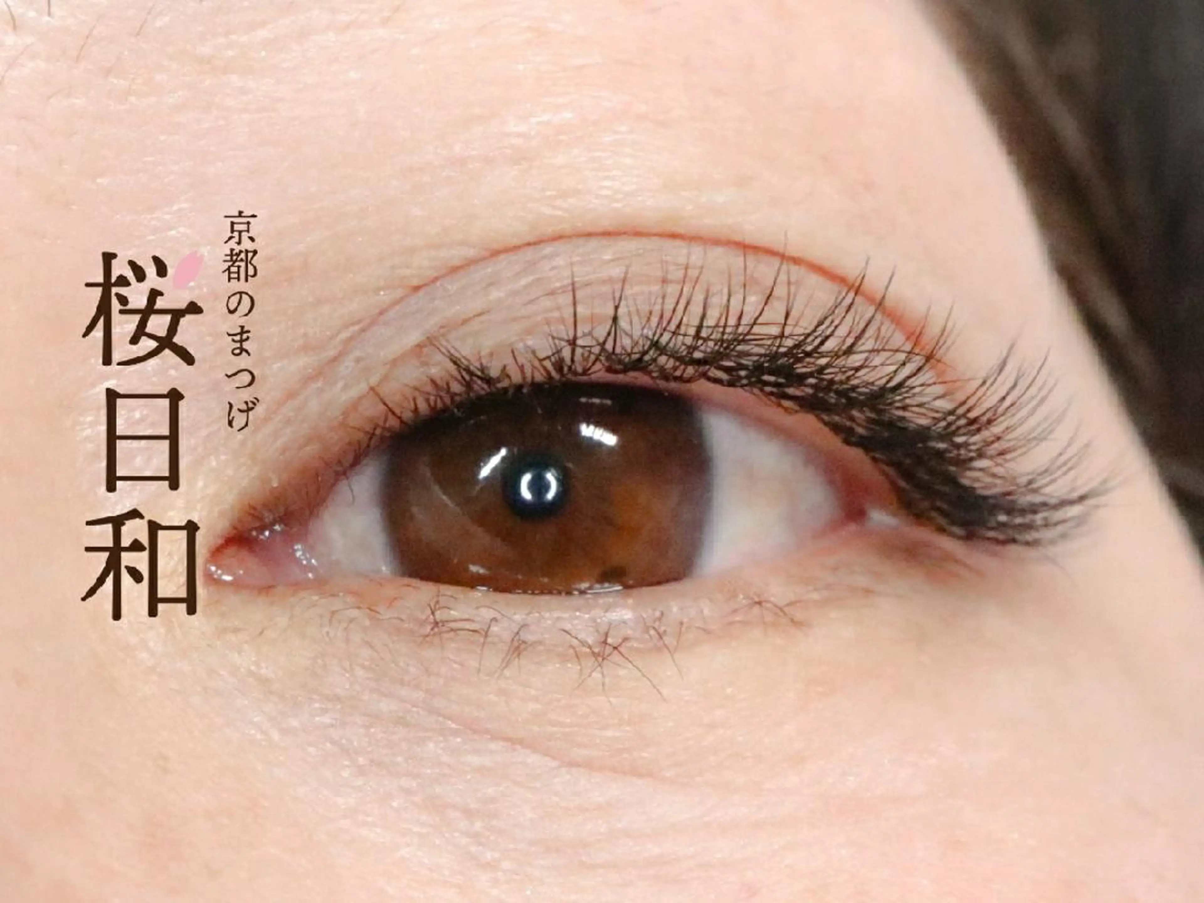 マツエク・マツパ フラットラッシュ まつげパーマ 一重×まつ毛パーマ ボリュームラッシュ 京都のまつげ桜日和 小島美桜のマツエク・マツパデザイン