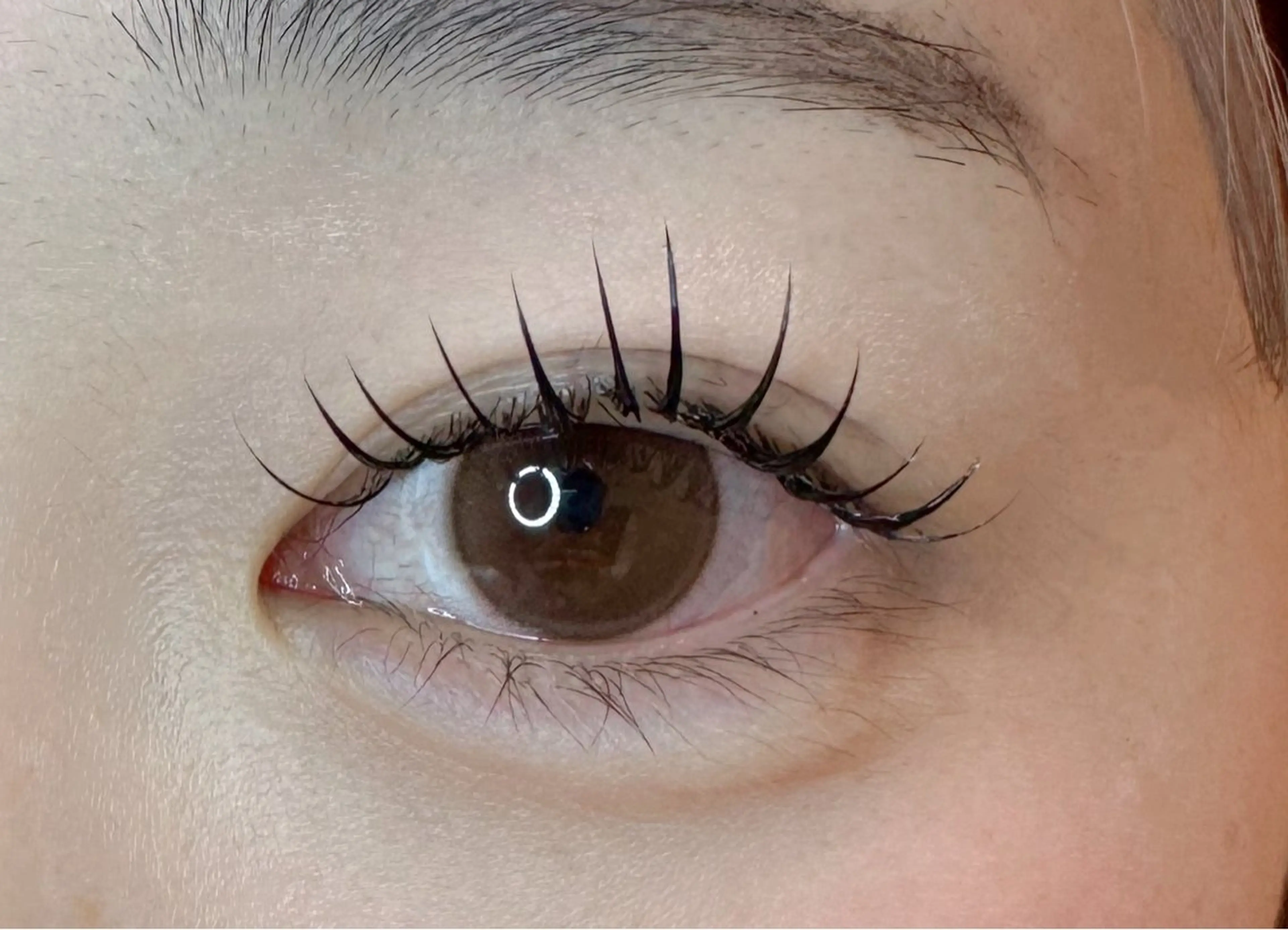 マツエク・マツパ ビューティージーンプロフェッショナル新宿店所属・🐶 IZUMI 🐾のマツエク・マツパデザイン