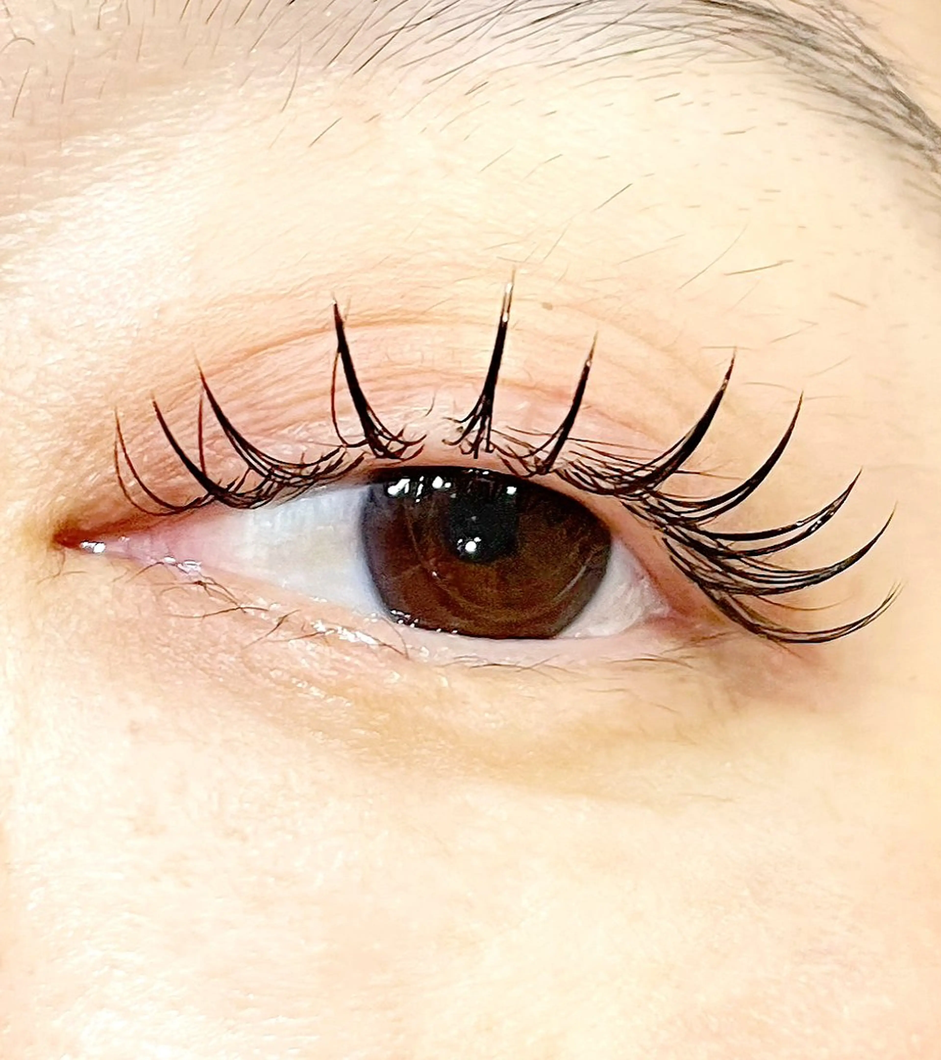 マツエク・マツパ Cカール 坂井 詩帆のマツエク・マツパデザイン