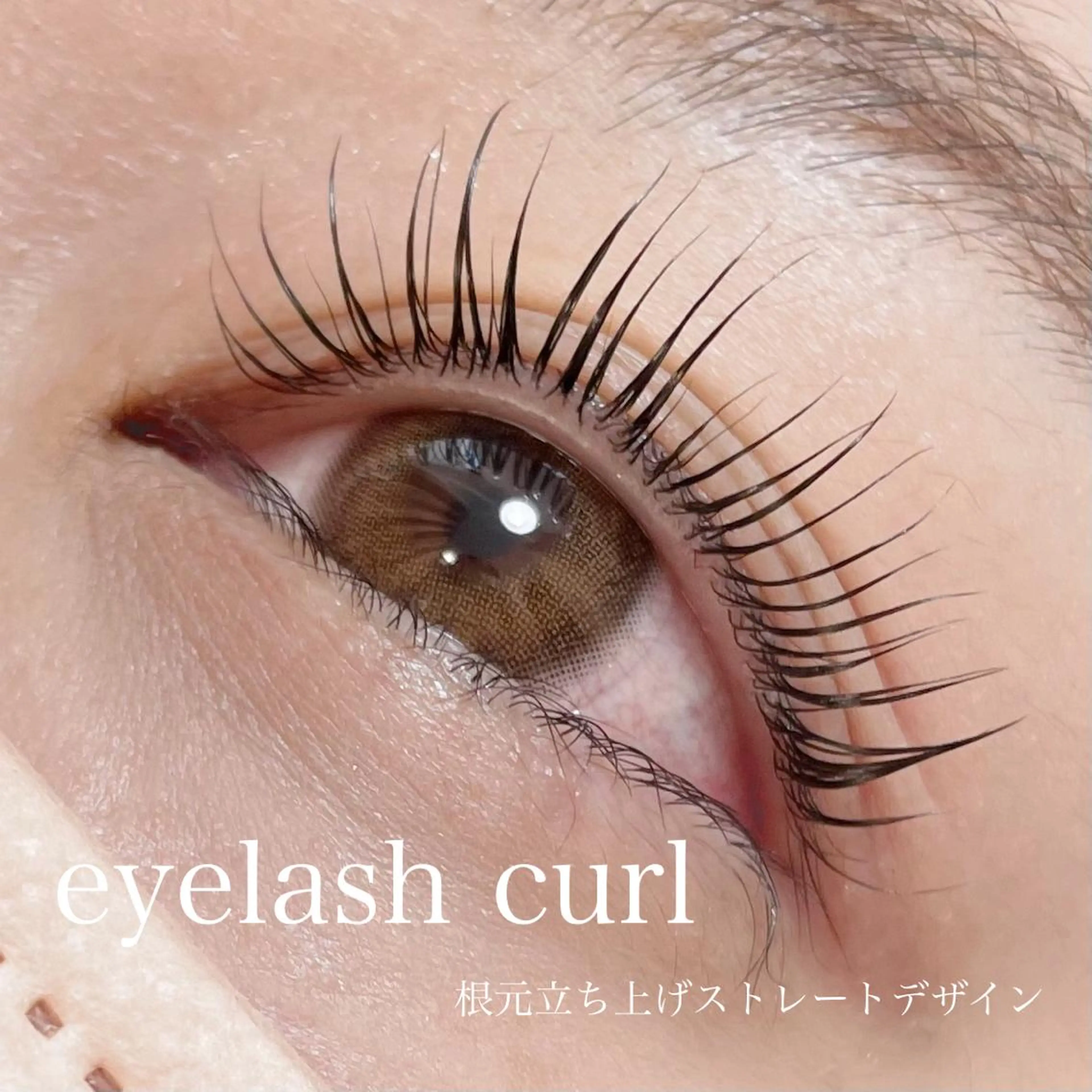 マツエク・マツパ eight eyelash池袋店のマツエク・マツパデザイン