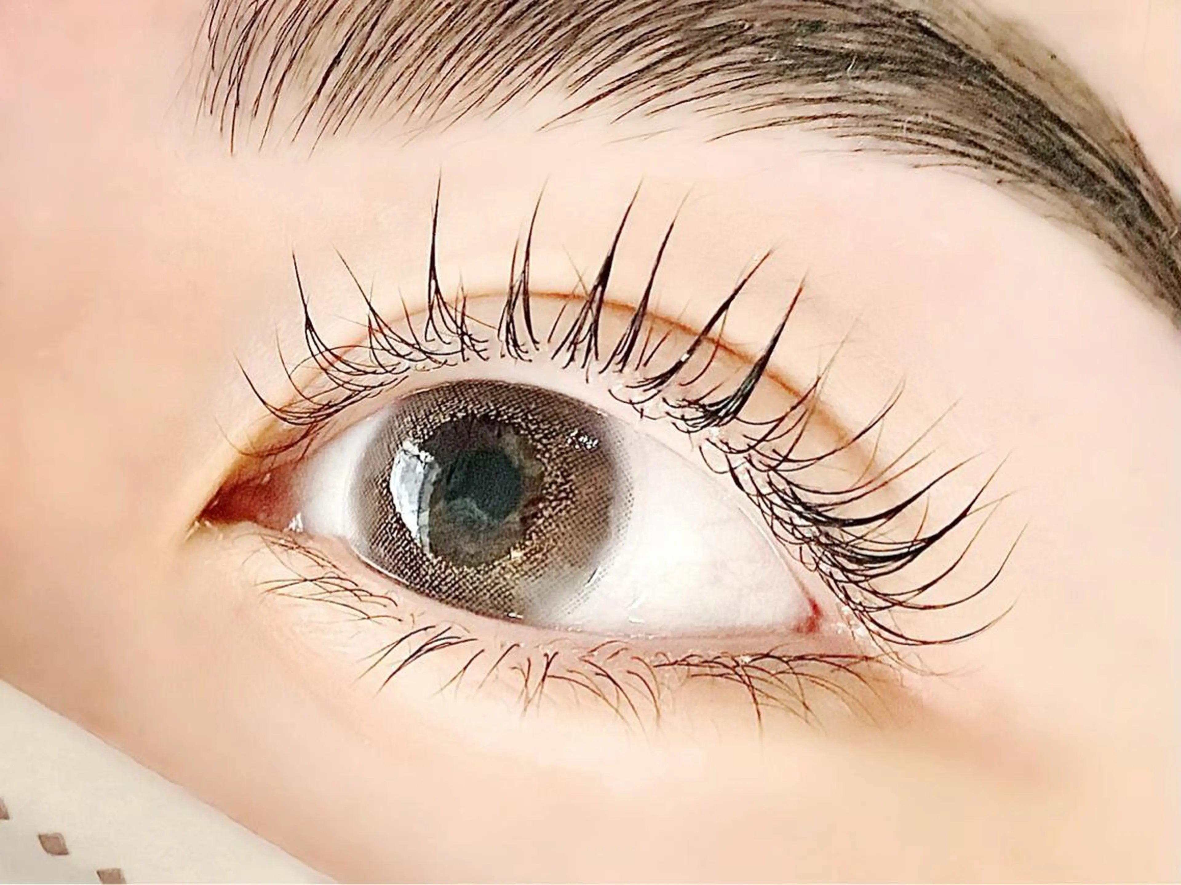 マツエク・マツパ アイブロウ マツパ クルミナージュ柏🌼 代表.鈴木のマツエク・マツパデザイン