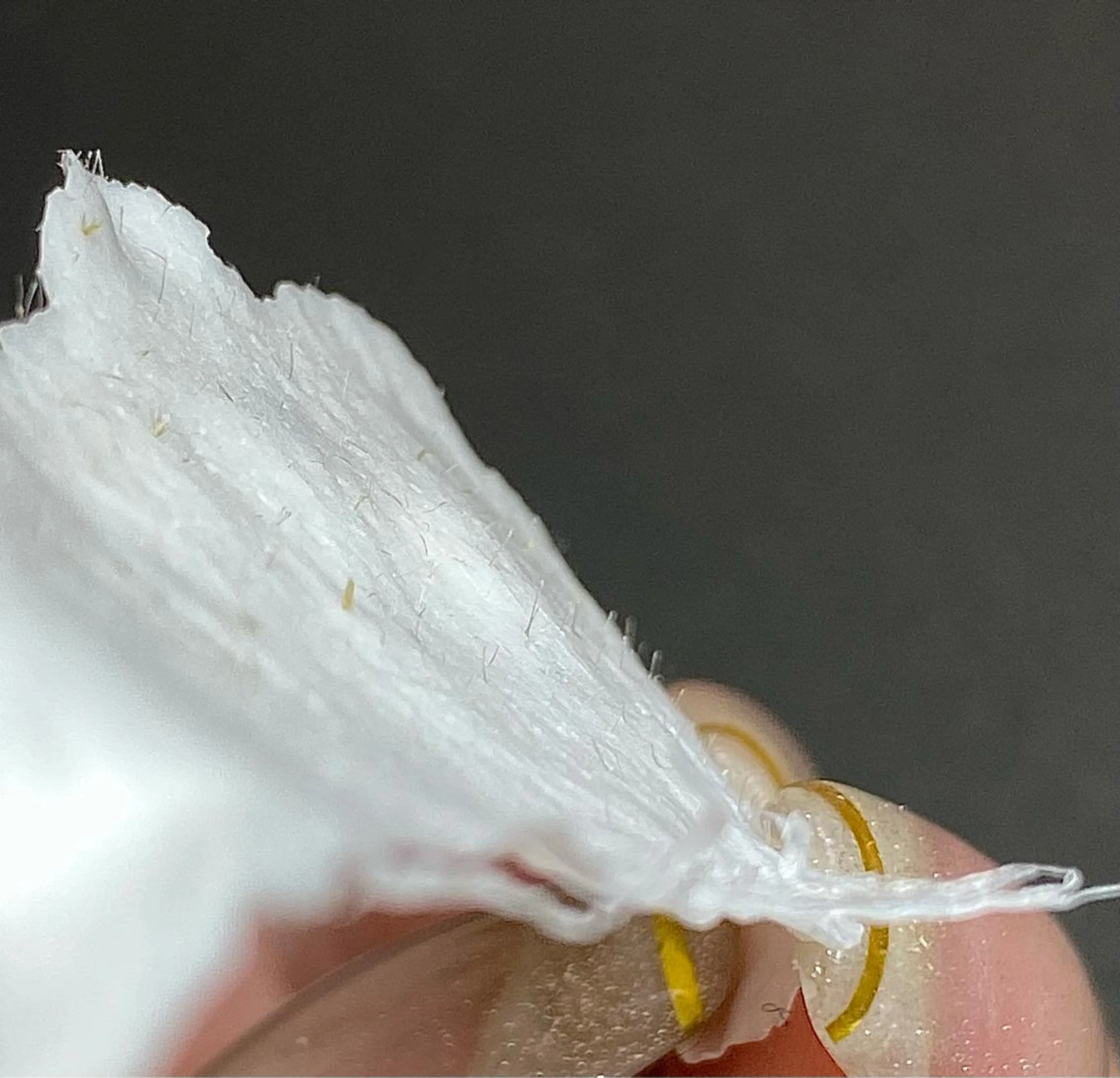 脱毛 JILL sa-yaのネイルデザイン