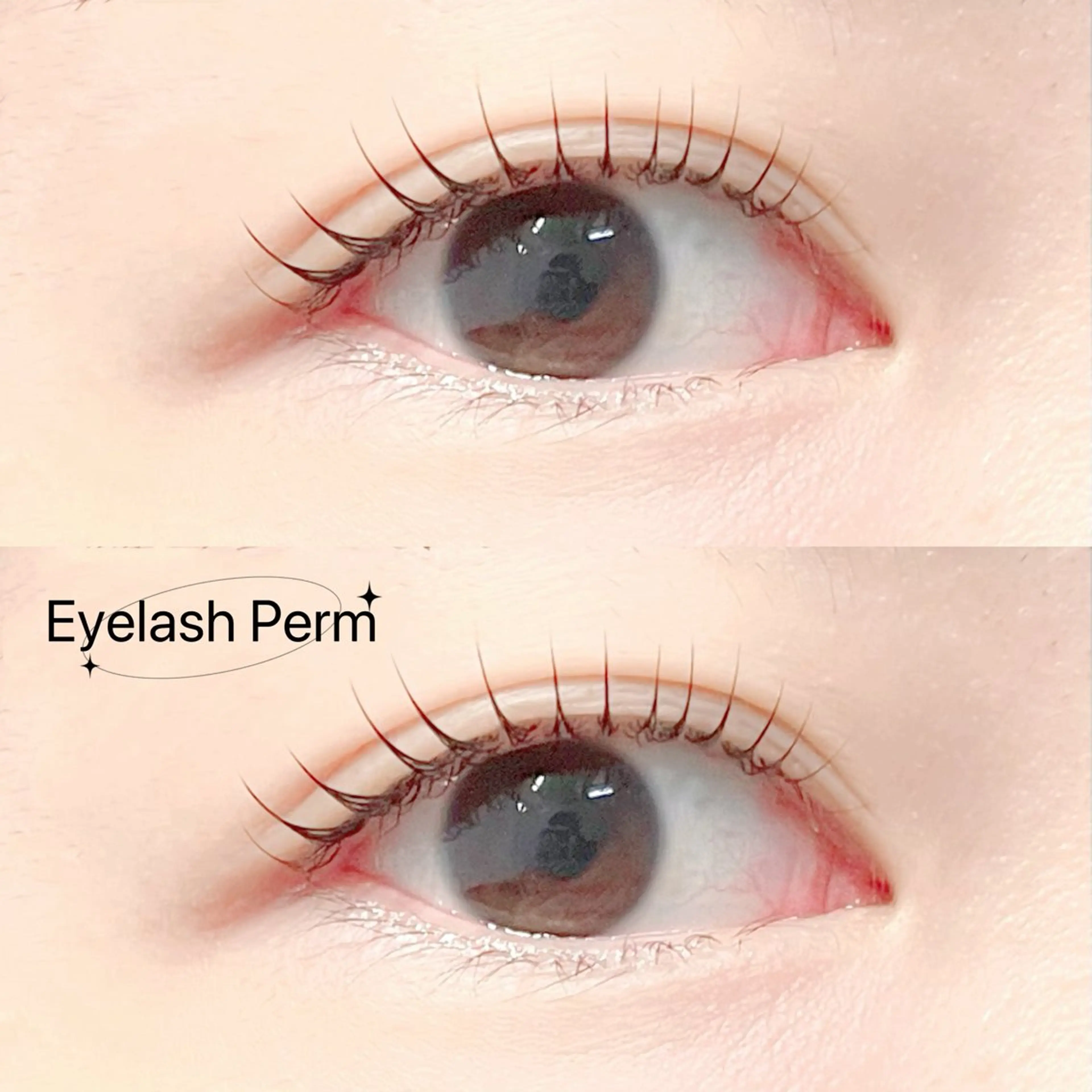 🩷【本日限定】人気No.1❣️まつ毛パーマ➕コーティング🩷の写真