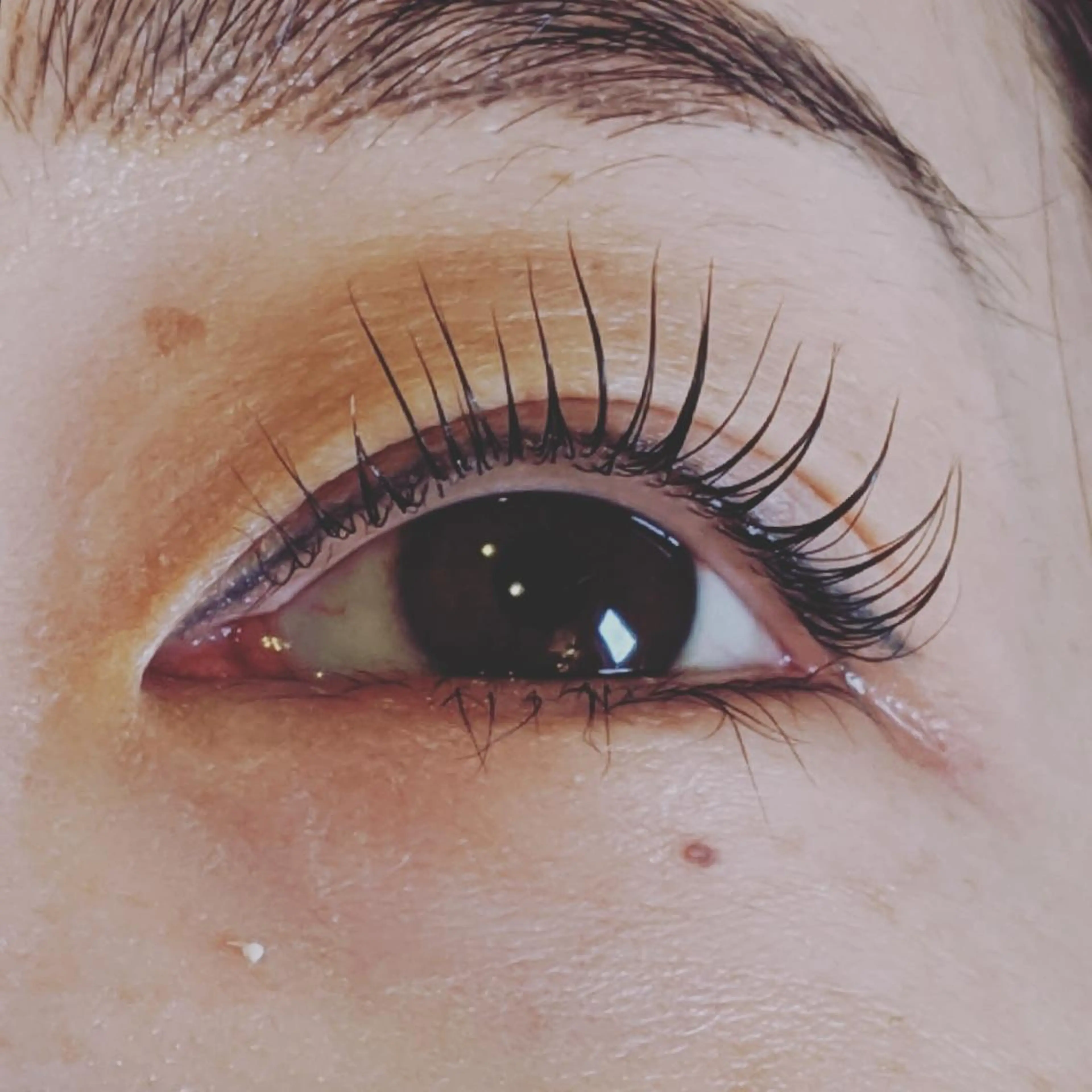 マツエク・マツパ RYO  八尾市のエステ・リラクイメージ