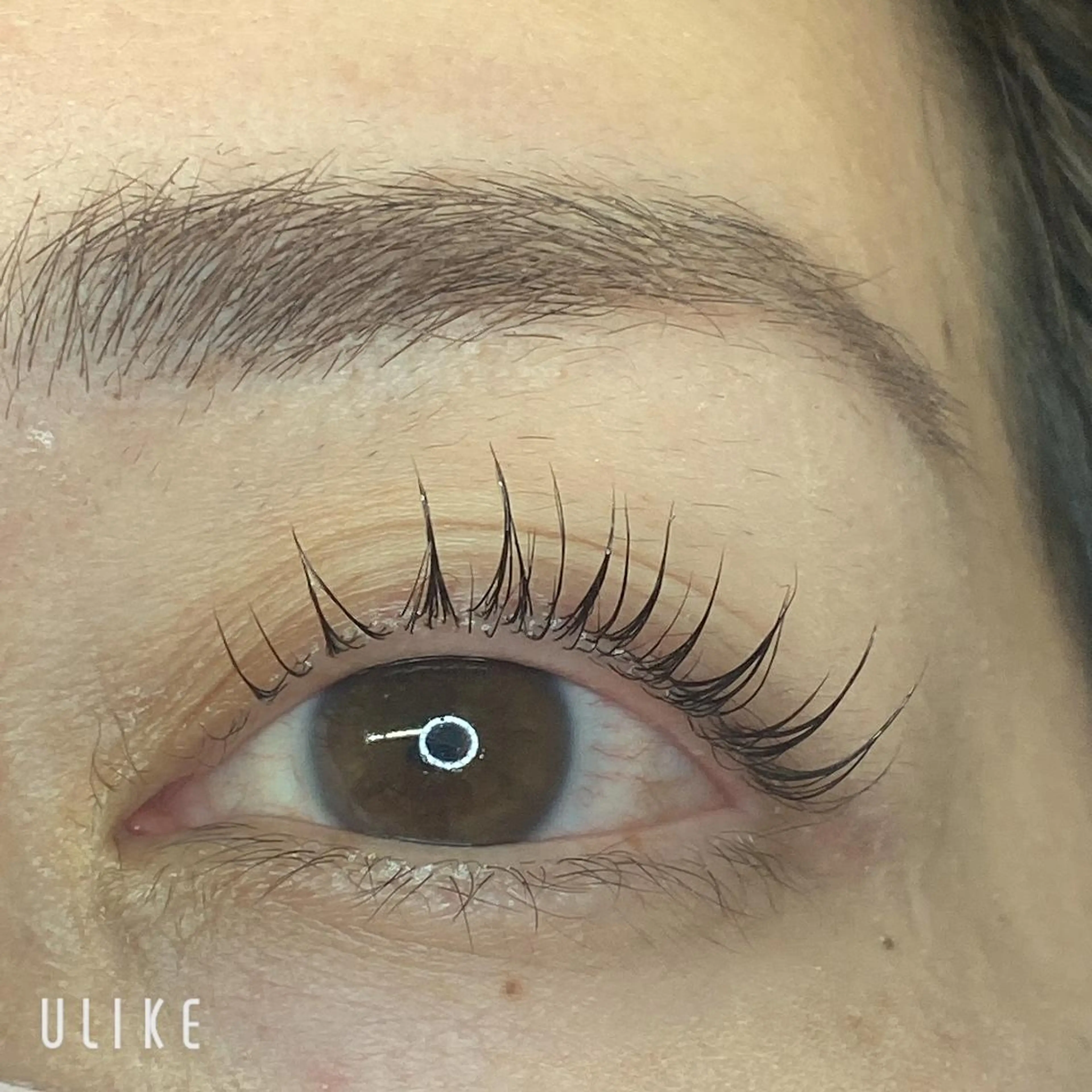 マツエク・マツパ Eye   Beauty所属・松田 由紀のマツエク・マツパデザイン