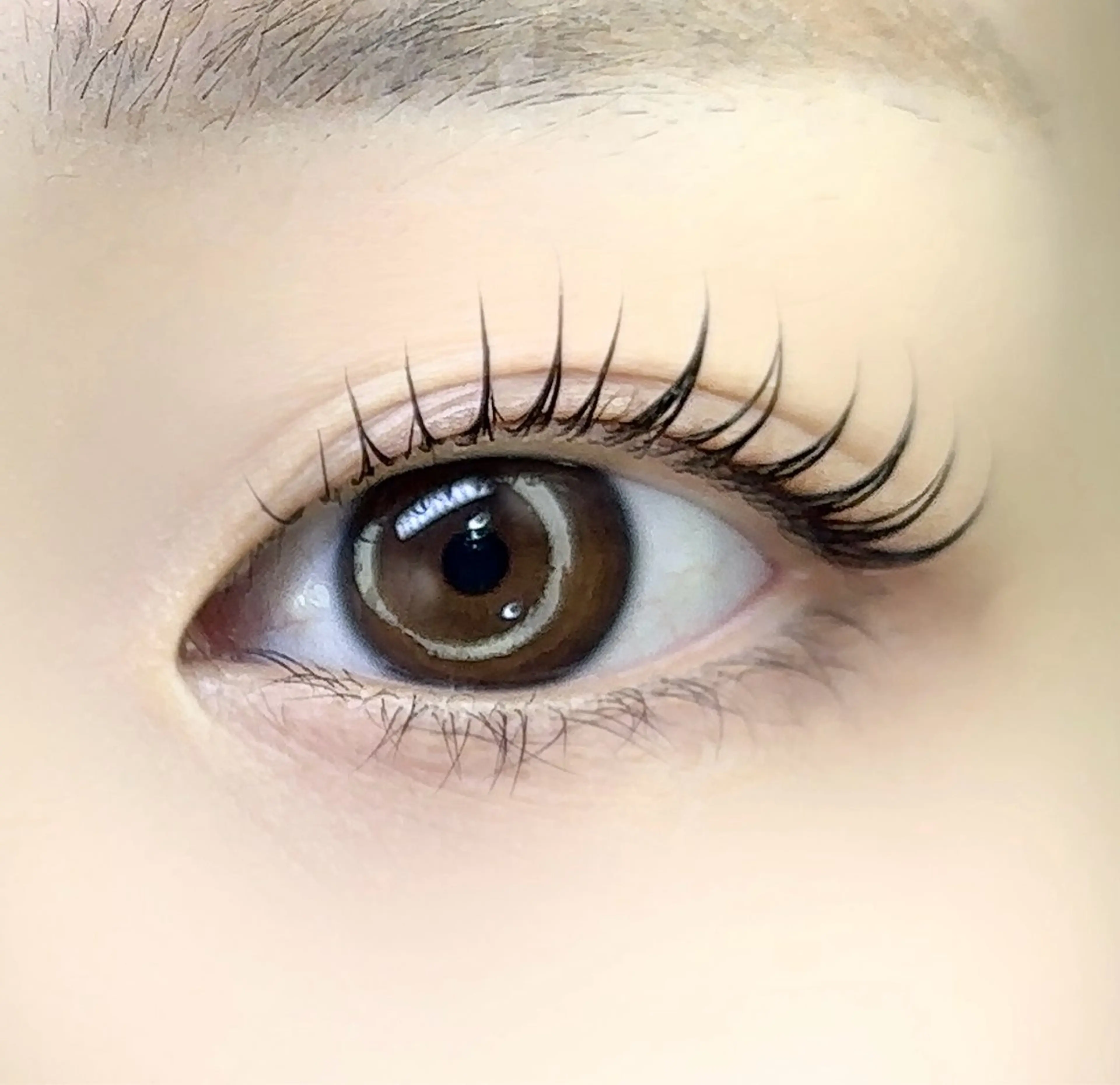 マツエク・マツパ 束感まつ毛 韓国風マツエク 一重×まつ毛パーマ EYE LABO所属・EYE LABO / まつげパーマのマツエク・マツパデザイン