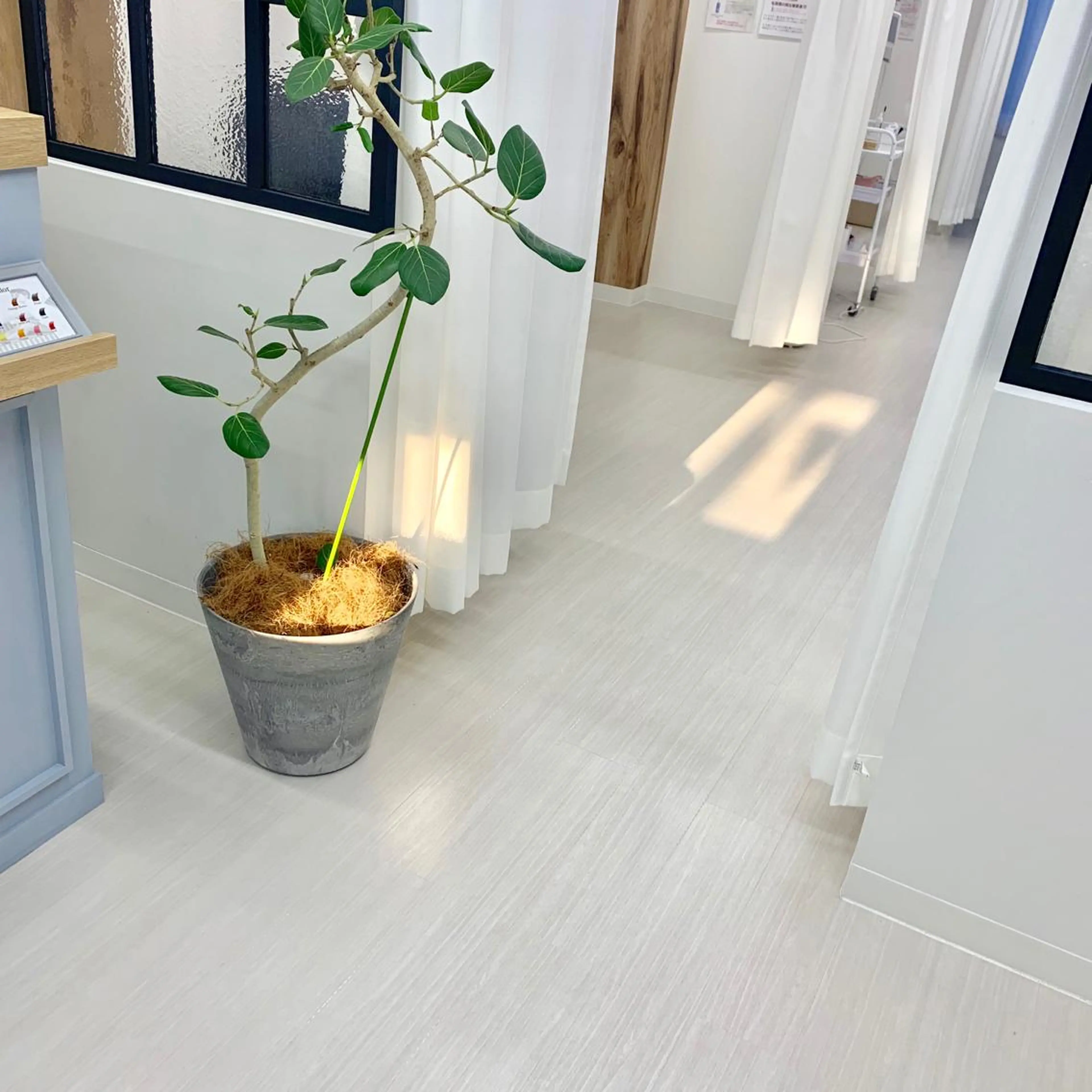 ミディアム カラー パーマ キッズ ネイル マツエク・マツパ W.eyelash所属・ダブリュー アイラッシュの眉毛・アイブロウイメージ