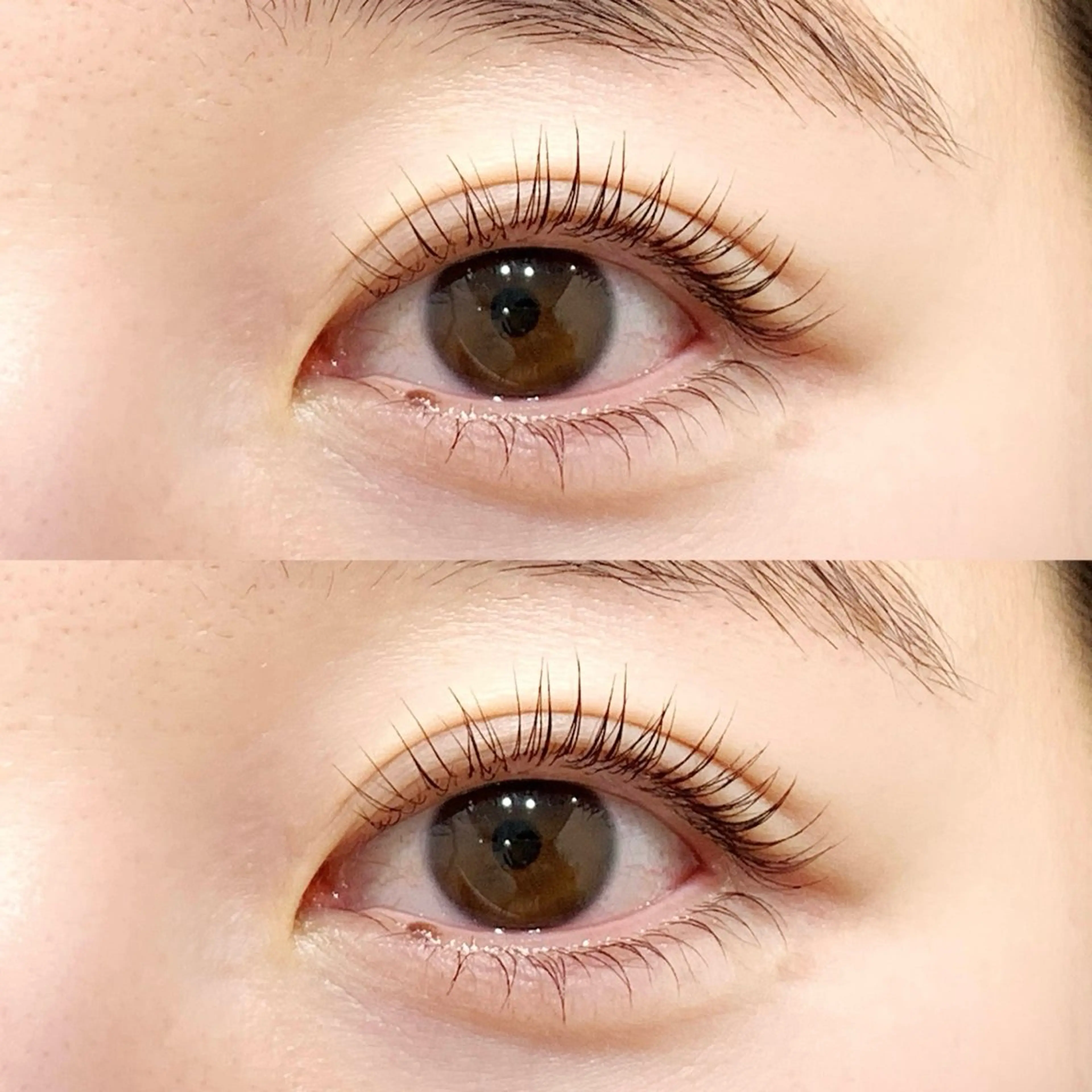 🌷【ラッシュリフト+マスカラLEDコーティング】6000円❁条件クリアで¥5900の写真