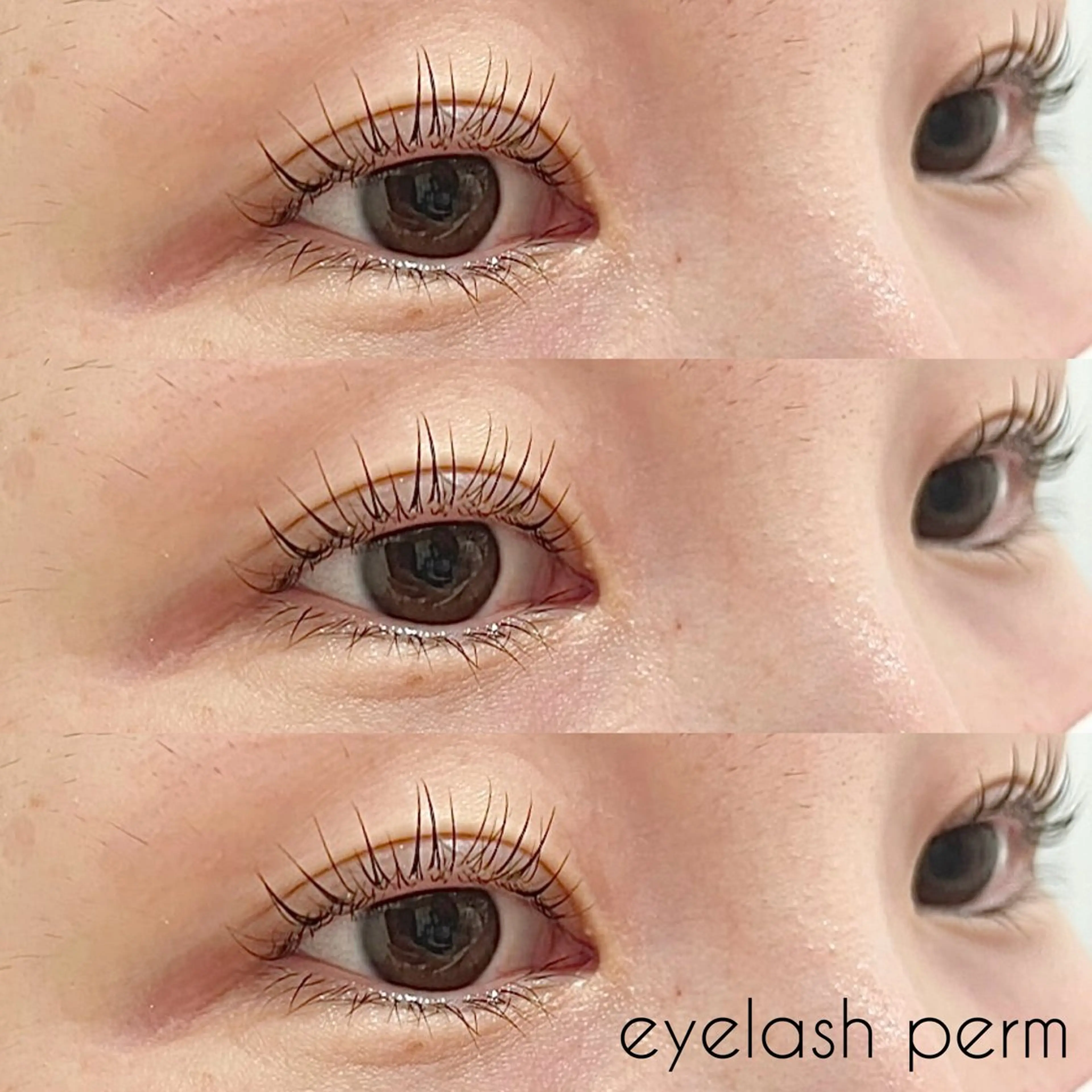 マツエク・マツパ パリジェンヌラッシュリフト ✧elpatio✧︎ 小出紗羅のマツエク・マツパデザイン