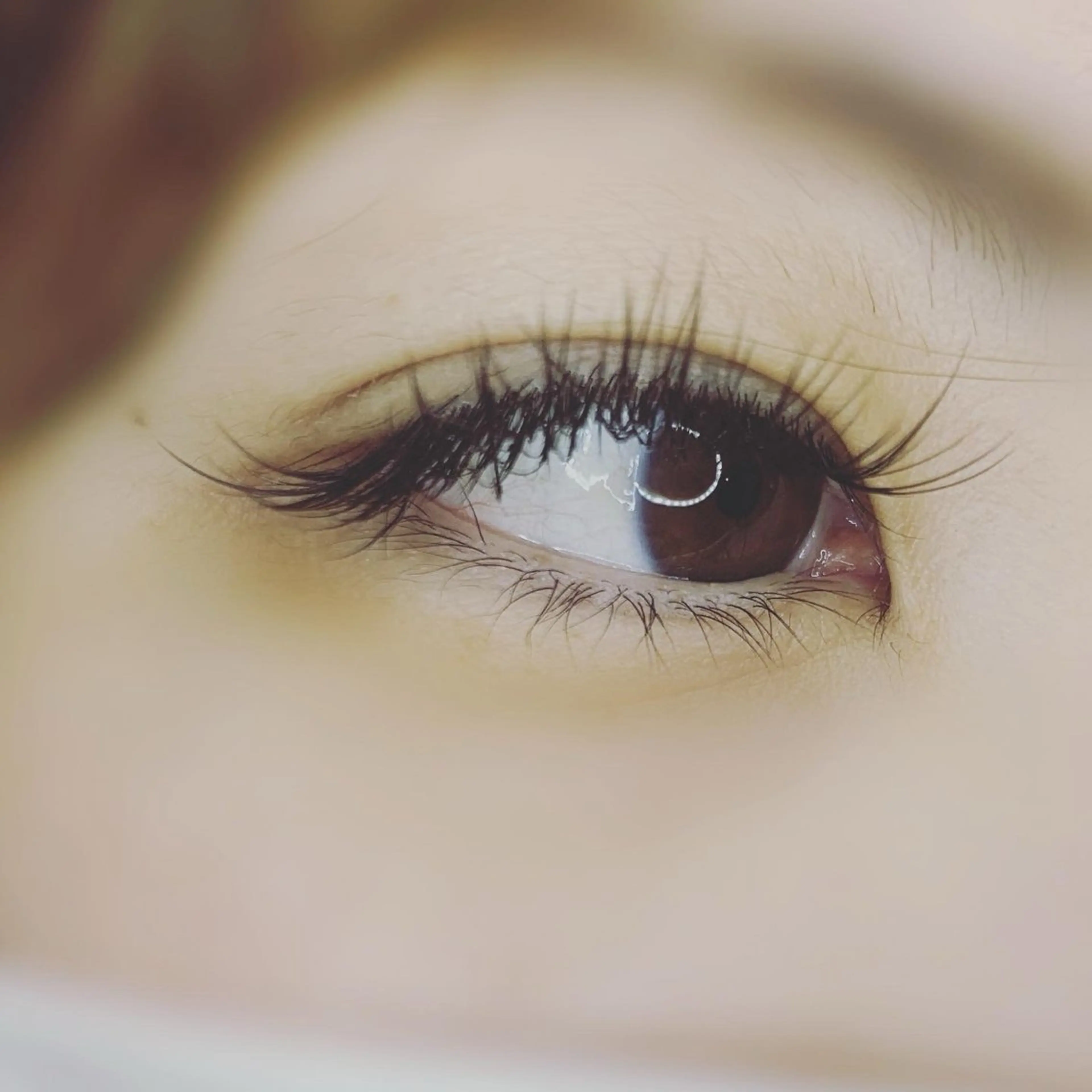 マツエク・マツパ エステティックサロン La gemmeのマツエク・マツパデザイン