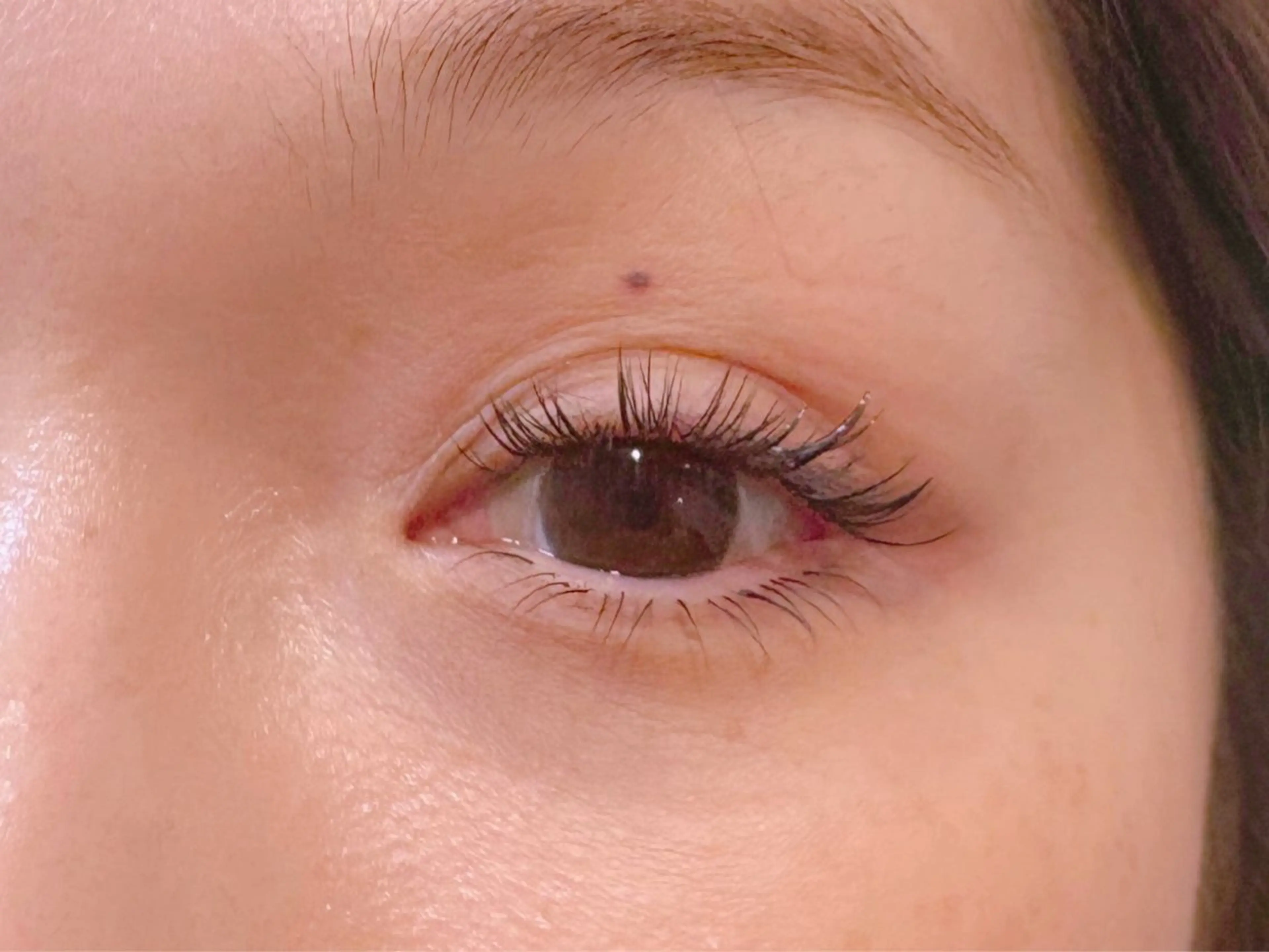 マツエク・マツパ 下まつげエクステ 𝐞𝐢𝐠𝐡𝐭 MAO🖤の眉毛・アイブロウイメージ
