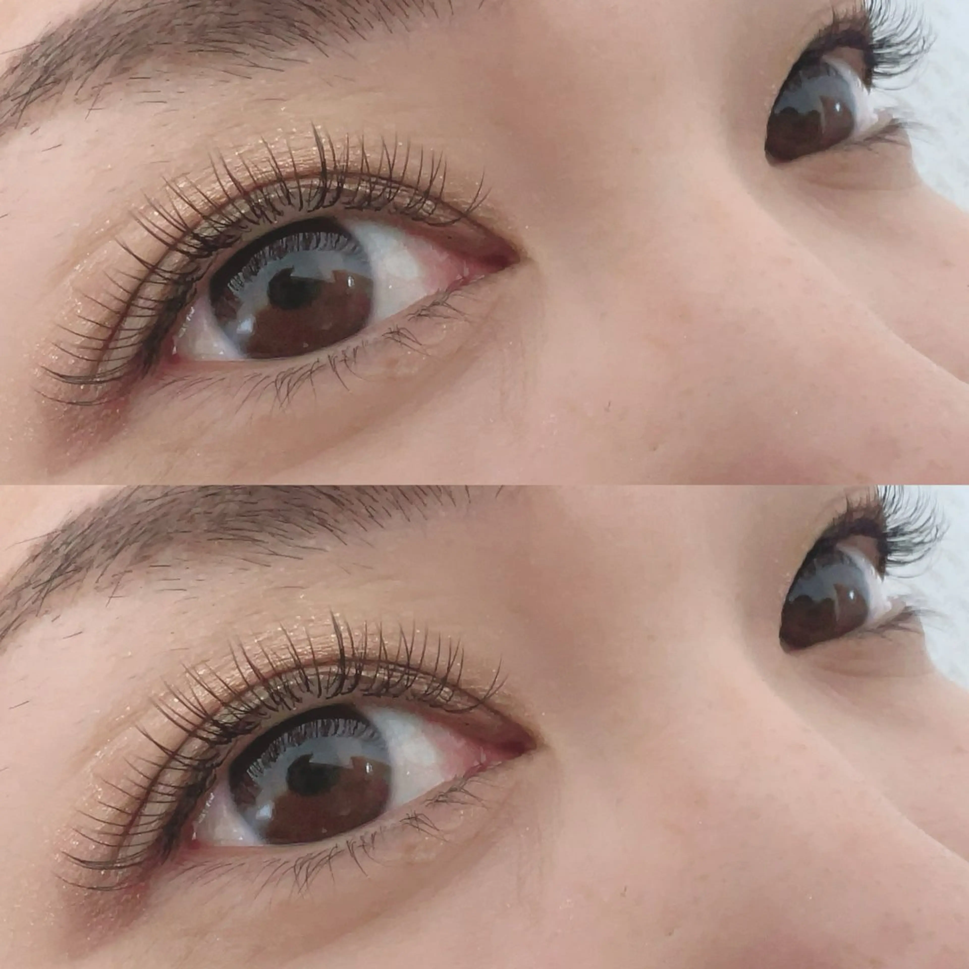 マツエク・マツパ マツエク 【Aile】 YUKAのマツエク・マツパデザイン