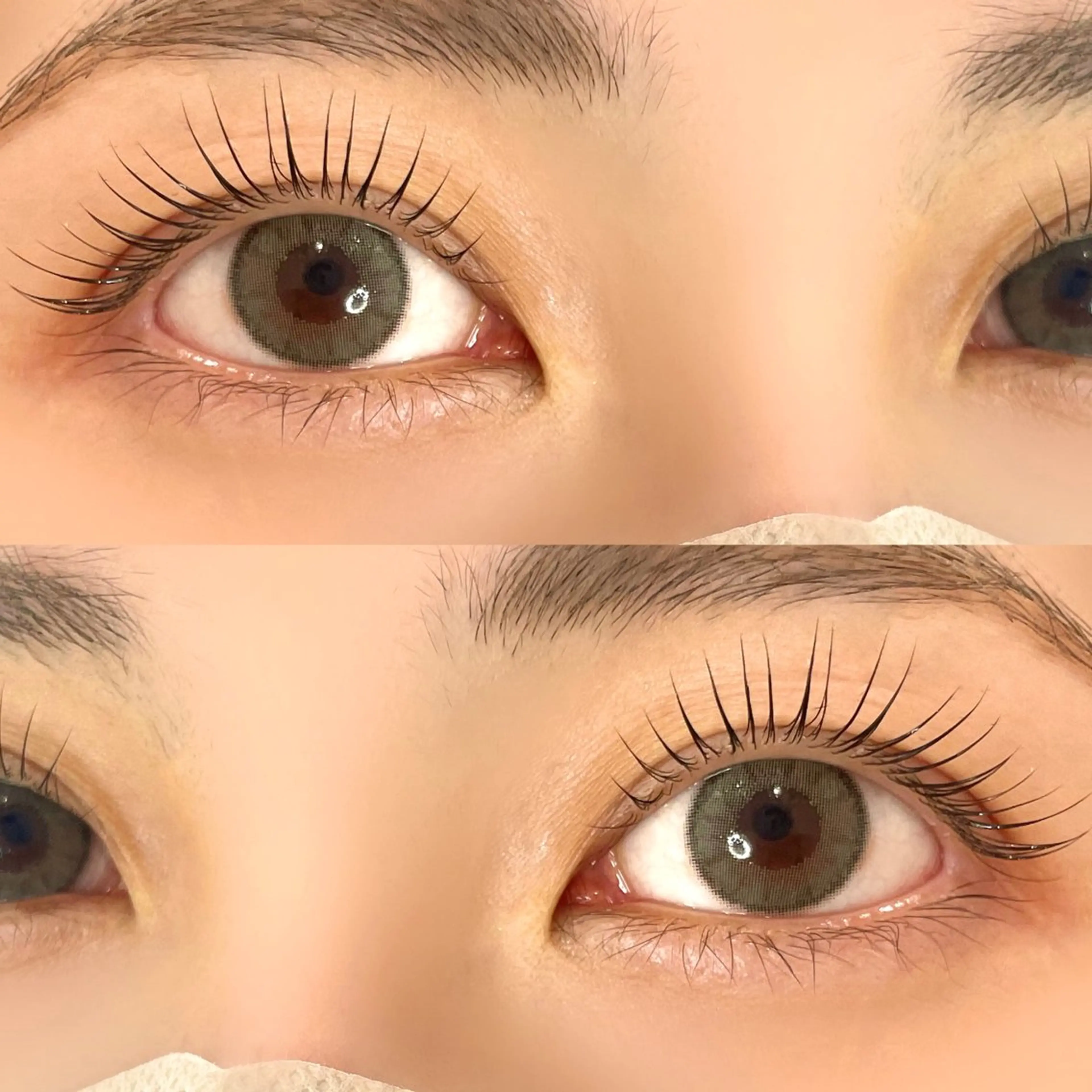 マツエク・マツパ Nae.所属・眉毛/まつ毛/代官山 アイサロン🌻NAEのマツエク・マツパデザイン